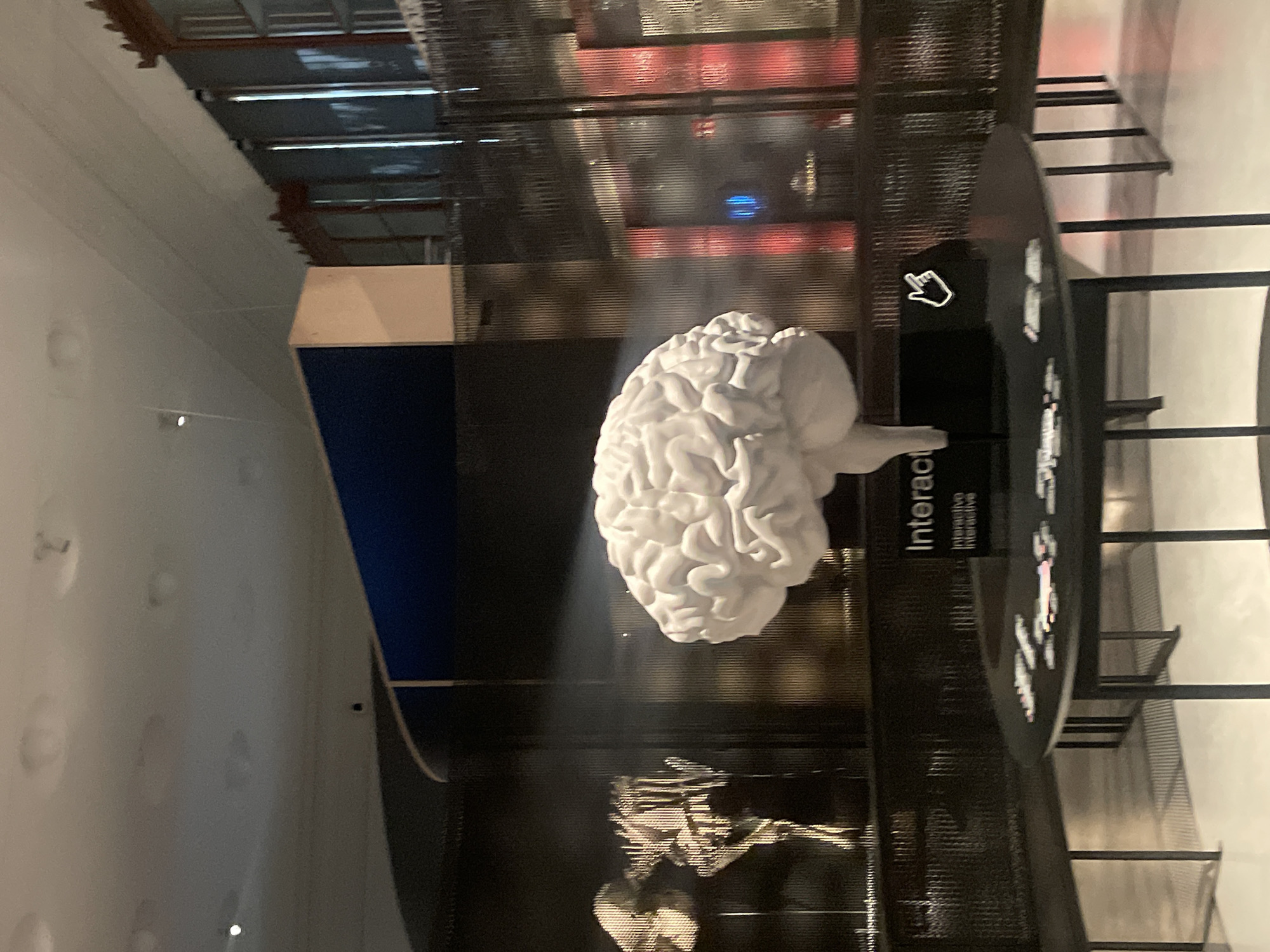 The image shows a large, white model of a human brain on display at the CosmoCaixa science museum in Barcelona, Spain. The model is situated in front of a dark, metal mesh wall, with red and blue accents visible through the mesh. To the right of the brain is a black sign with a white cursor icon and the word "Interactiu" or "Interactive". The museum's interior architecture, including its ceiling and various structural elements, can be seen in the background.