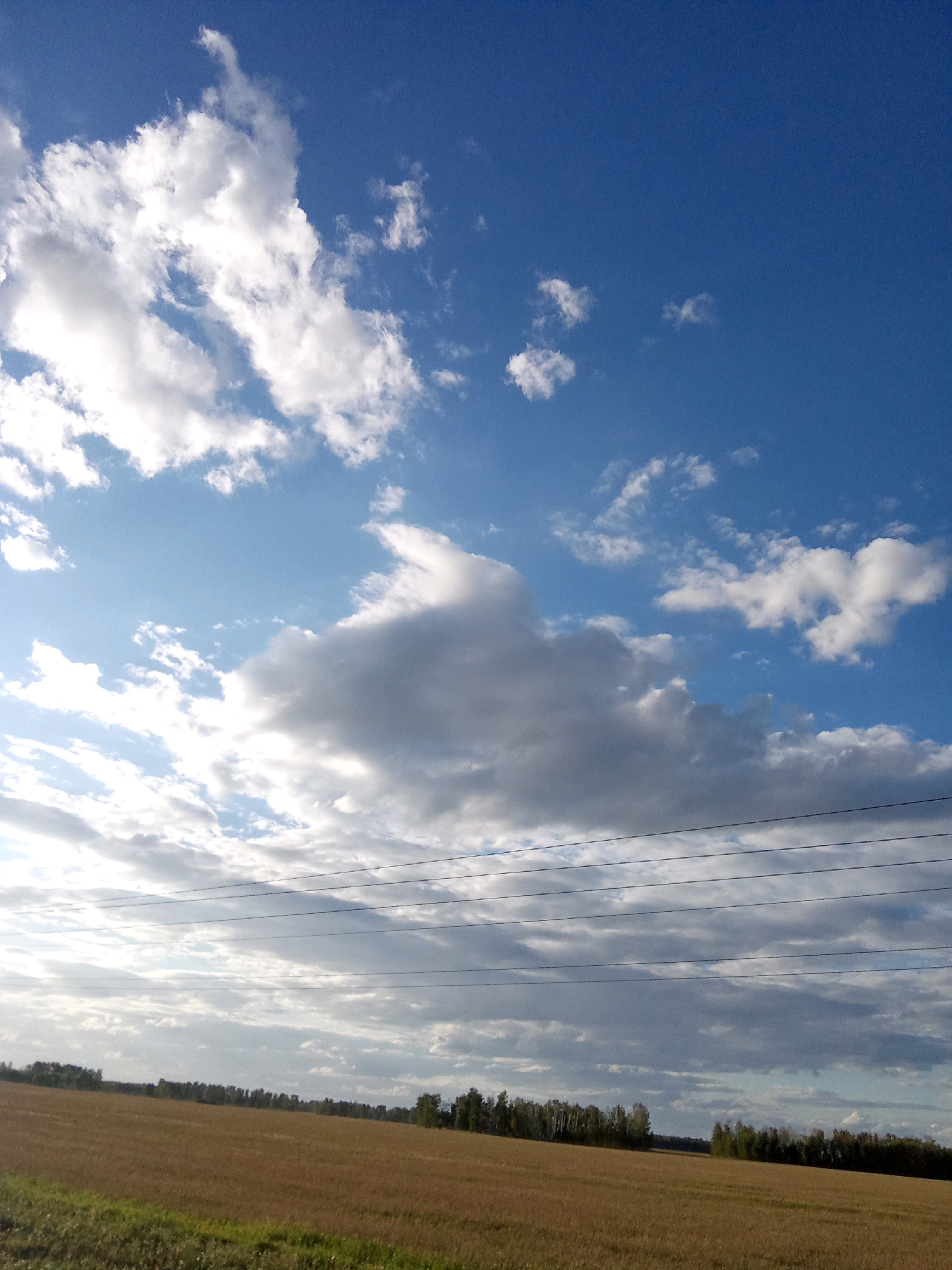 The image depicts a rural landscape under a bright blue sky dotted with white and gray clouds. In the foreground, a dry, golden-brown field stretches across the frame, with hints of green grass along the bottom edge. A line of trees, dense and dark green, forms a horizontal band along the horizon, separating the field from the sky. Across the upper portion of the field and extending into the sky, several black, parallel wires are visible, suggesting the presence of power lines. The sky is dynamic, with fluffy white clouds catching the sunlight on the left and darker, more ominous clouds gathering on the right. The overall scene suggests an outdoor rural setting, possibly during late afternoon given the lighting.