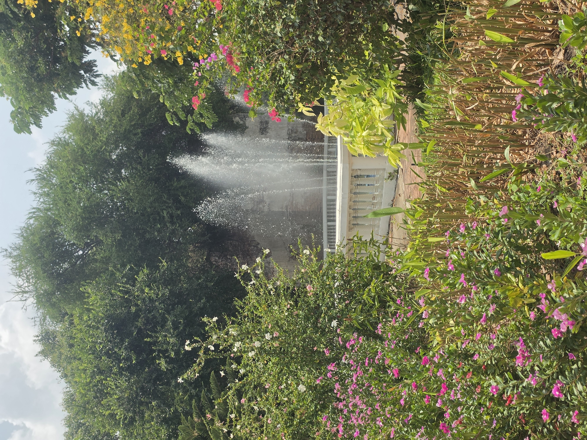 The image shows a fountain in a garden setting. The fountain has multiple jets of water spraying upwards, creating a shimmering effect. The fountain is enclosed by a white balustrade. Lush green foliage surrounds the fountain, with a variety of flowering plants adding pops of color. The plants include pink, yellow, and white blossoms. Taller green trees are visible behind the fountain. The scene appears to be in a park or garden in Phra Nakhon Si Ayutthaya City Municipality, Thailand.