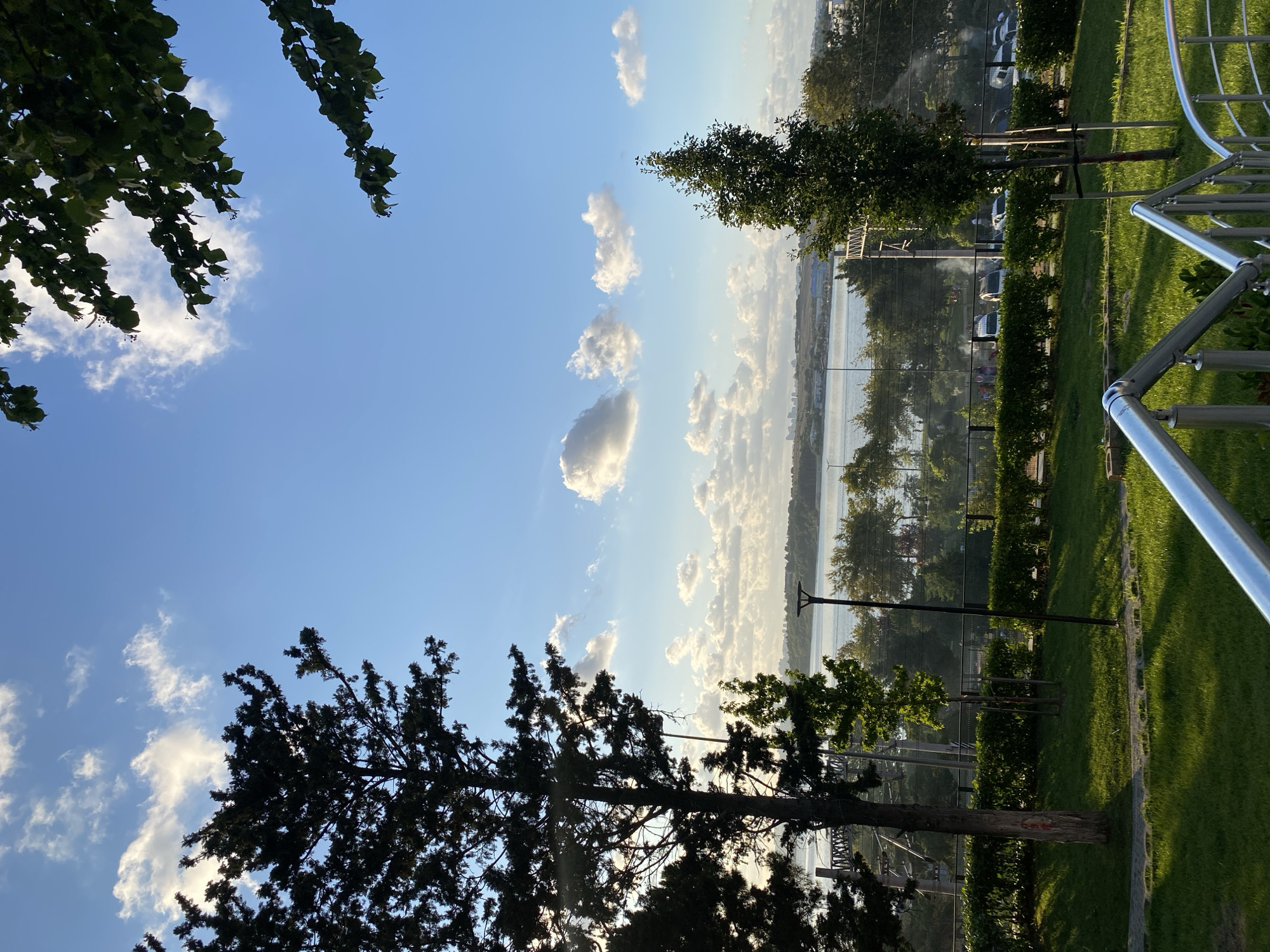 The image captures a scenic view in Küçükçekmece, Turkey, overlooking a body of water, likely the Küçükçekmece Lake or the Marmara Sea, with a distant city skyline. The foreground features a well-maintained grassy area with paved walkways and metal railings, suggesting a park or recreational space. Several trees are prominent, with a large, dark-foliaged tree on the left silhouetted against the bright sky and a slender, green-leafed tree on the right. A neatly trimmed hedge runs along a fence line, separating the park from an area with vehicles, including cars and vans, parked in a row, possibly indicating a street or parking lot. Beyond the vehicles, a line of trees forms a verdant backdrop to the water. The sky is a vivid blue, dotted with fluffy white clouds, indicative of a pleasant day. The lighting suggests it is either early morning or late afternoon, with shadows casting across the grass. The distant skyline of buildings, partially obscured by the trees and haze, confirms an urban setting. No specific actions or interactions are clearly discernible among any potential people in the background, who appear as small figures amongst the parked vehicles.