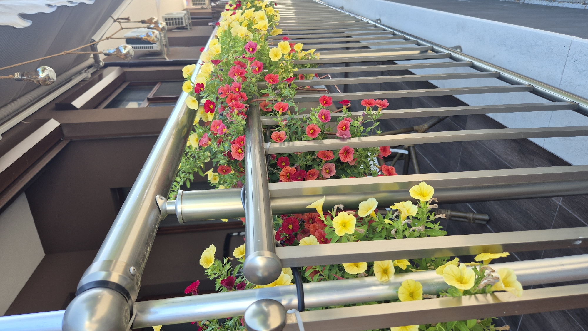 The image shows a close-up view of a balcony railing adorned with vibrant petunia flowers in shades of yellow, red, and pink. The railing is made of brushed metal and is positioned in front of a building with a dark brown facade and a white awning. Several decorative light bulbs hang from ropes above the awning. The balcony floor appears to be tiled with dark wood-patterned tiles. The scene is set outdoors, likely during the day, with natural light illuminating the flowers and railing. The location is specified as Kiten, Bulgaria. No people are visible in the image.