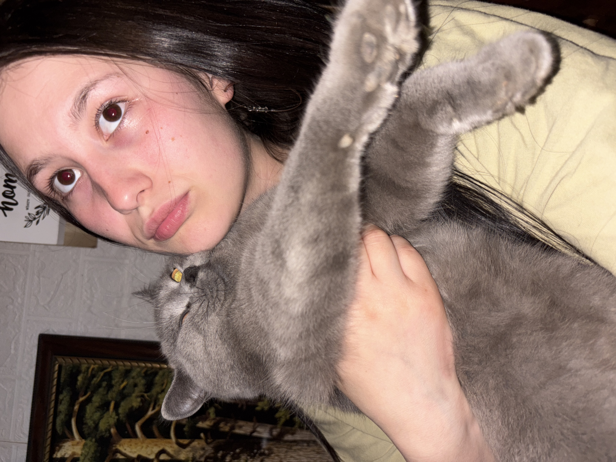 A young woman with dark hair holds a gray cat in her arms. The woman is looking upwards, with a neutral expression on her face. The cat's paw is raised in the air. A picture frame is visible in the lower left corner of the frame. The photograph was possibly taken in Фоки, Russia.