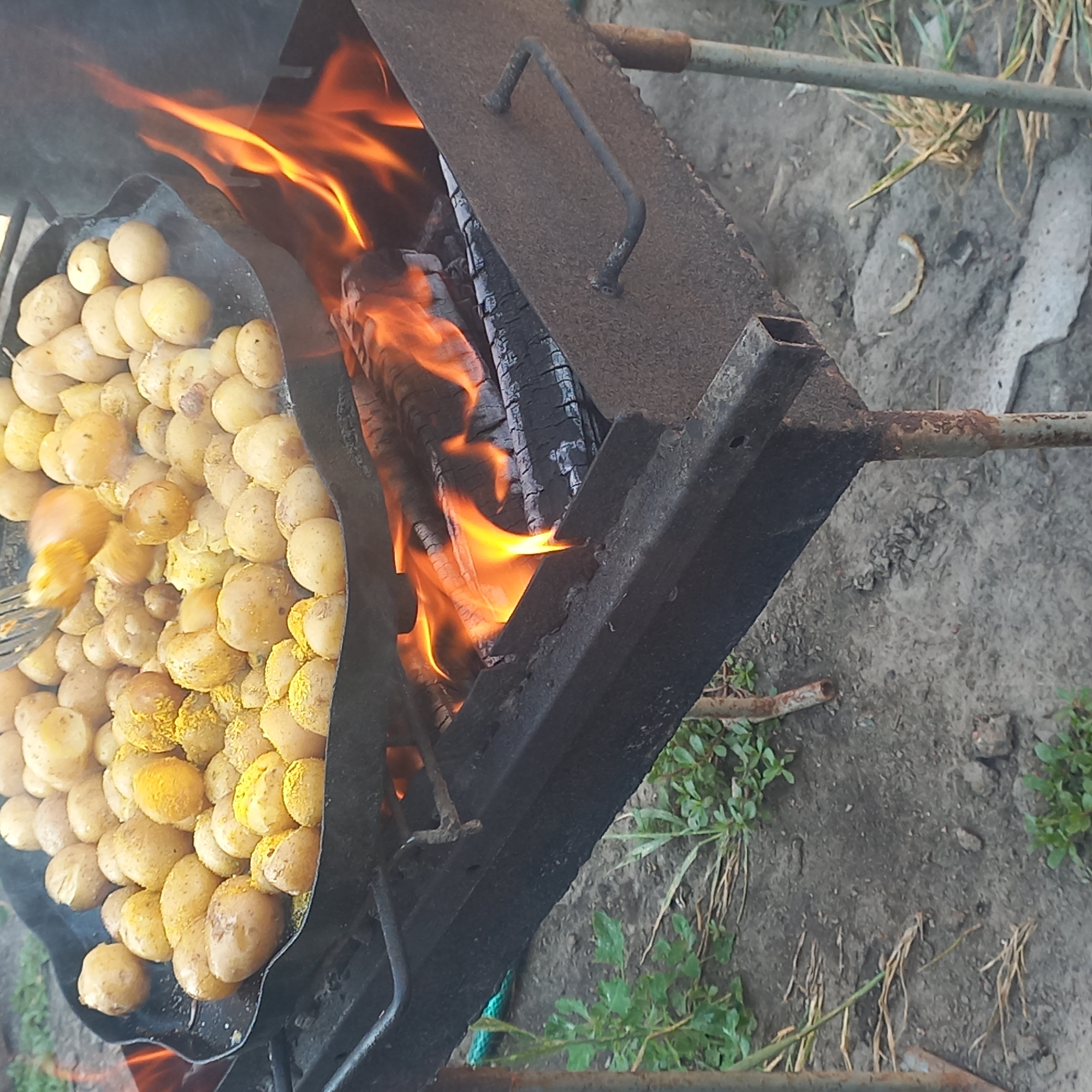 The image shows a rustic outdoor scene, likely in a rural or suburban setting. A black, shallow pan filled with small, golden-brown potatoes is placed over a barbecue grill. The potatoes appear to be seasoned with a yellow spice, possibly turmeric or curry powder. Flames from the burning wood beneath the grill lick up at the pan, indicating that the potatoes are being cooked.
The grill itself is made of dark metal and has a weathered appearance. The ground around the grill is covered in dirt and sparse green vegetation, with some dry grass and twigs scattered about. In the background, a hint of green foliage suggests trees or bushes. The overall impression is one of simple, home-style cooking. The image does not provide any specific clues to indicate a location in the city of Klyntsi, Ukraine.