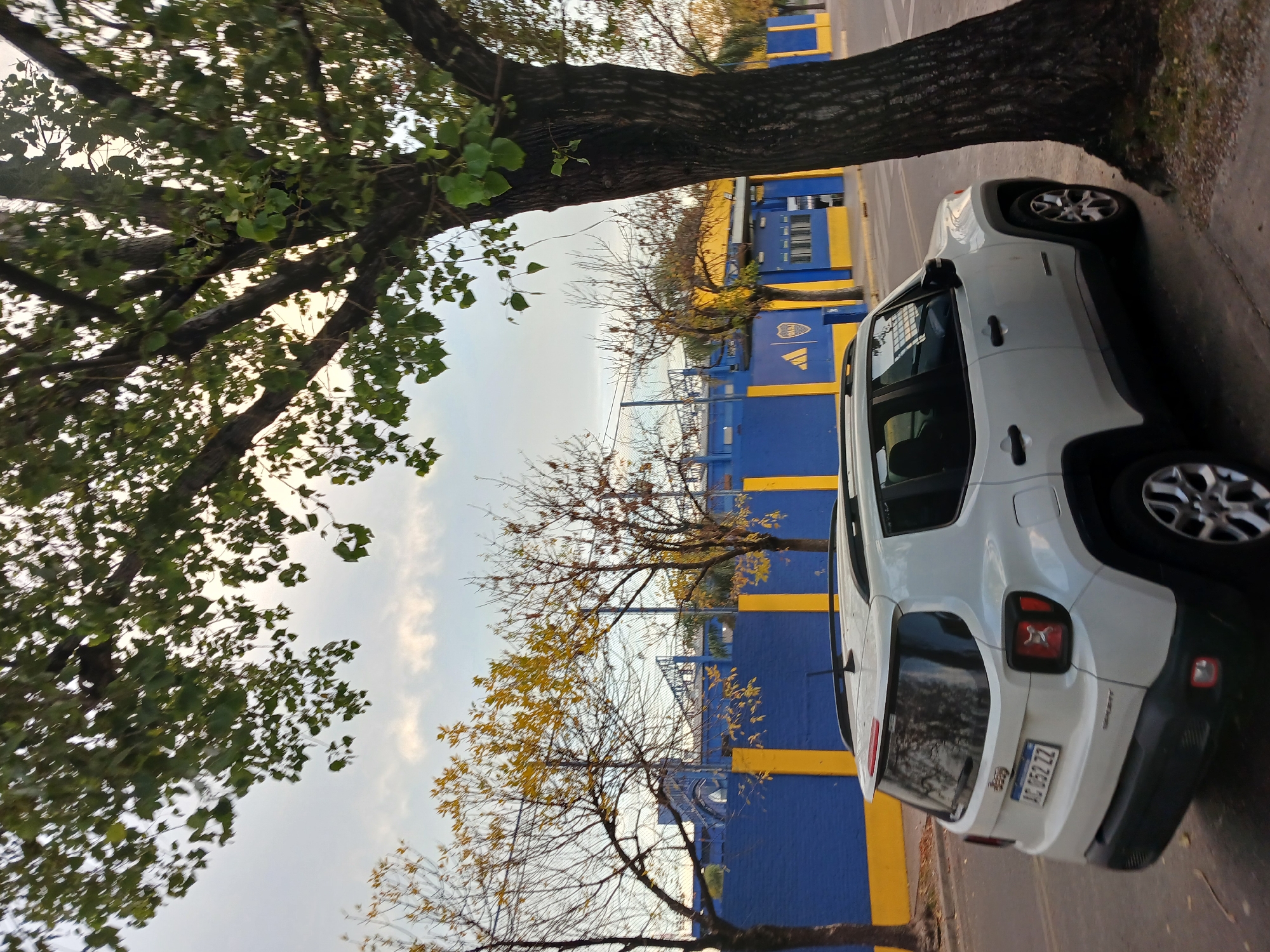 A white Jeep Renegade is parked on a street in Buenos Aires, Argentina, adjacent to a blue and yellow painted wall or fence, suggestive of the colors associated with the Boca Juniors soccer team. The car has an Argentinian license plate visible on the rear. The location appears to be near a tree line, with branches and leaves extending over the car and into the frame. The sky is visible through the trees, suggesting daylight. The overall setting is urban.