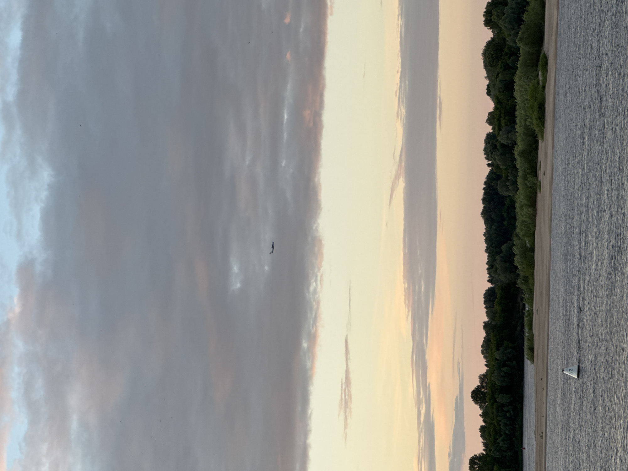 This is a landscape photograph taken vertically, depicting a sunset scene over a body of water. The sky is a prominent feature, filled with dramatic clouds in shades of gray, pink, and pale orange, suggesting the soft light of either sunrise or sunset. A single bird is visible in flight against the darker clouds.
The right side of the image transitions to a shoreline with dense green trees forming a line along the edge of the water. Between the trees and the water, there is a sandy beach. The water itself is choppy and reflects the sky, appearing grayish-blue. A small, white triangular buoy with the number "212" printed in black is partially submerged in the water near the shore.
The overall mood of the image is peaceful and serene, evoked by the natural beauty of the sky and the calm water. The time of day is clearly either dawn or dusk, indicated by the soft, diffused light and the colors in the sky. The location is hinted at by the dense forestation and the presence of a navigable waterway, consistent with riverine or lakeside environments. No people are visible in the frame.