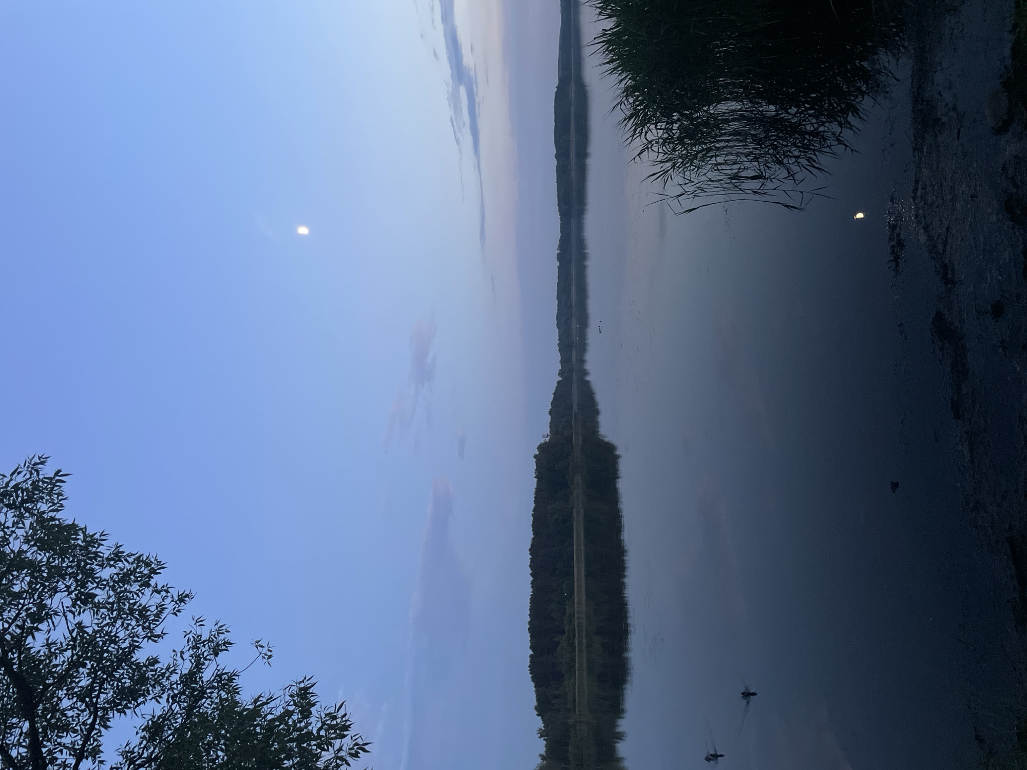 The image depicts a serene lake scene at dusk or dawn in the area of Ждановіцкі сельскі Савет, Belarus. A calm lake occupies the majority of the frame, reflecting a clear blue sky with faint wispy clouds. In the distance, a dense line of trees forms the horizon, also mirrored in the placid water. A crescent moon is visible in the upper right portion of the sky, with a faint reflection of what appears to be moonlight or the moon itself shimmering on the lake's surface near the right bank. On the left side of the image, the dark silhouette of tree branches with leaves extends into the sky. The foreground reveals a muddy bank with some reeds or tall grass growing along the right edge of the water. Three ducks are swimming in a line on the left side of the lake, leaving small wakes. The overall atmosphere is tranquil and natural.