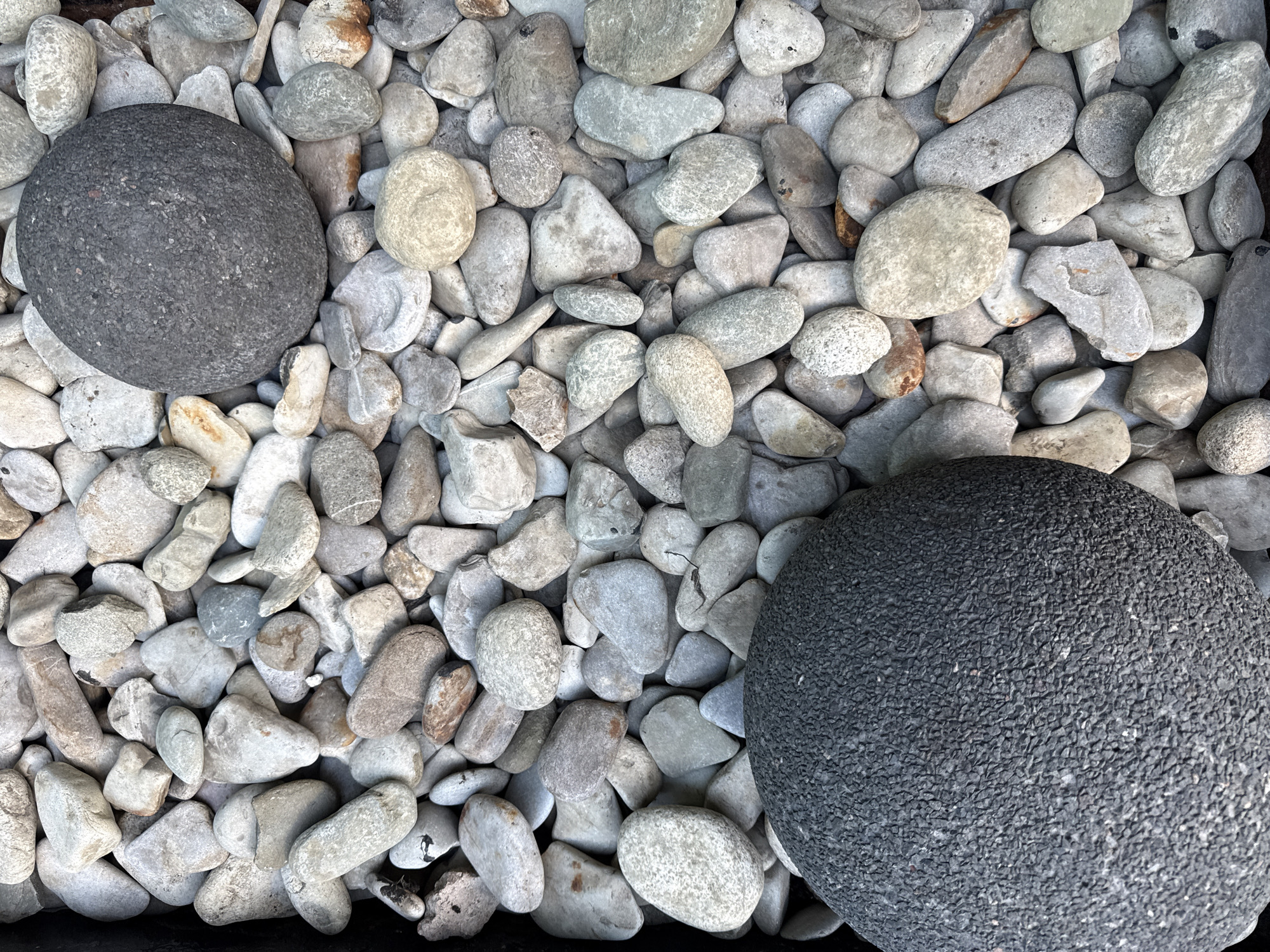 The image displays an overhead shot of an arrangement of various rocks and pebbles. The primary subjects are two large, dark grey, rounded stones, positioned in the top-left and bottom-right sections of the frame. These larger stones have a distinct, coarse, and granular texture, appearing almost like asphalt or finely crushed aggregate.
Surrounding and filling the space between these two prominent stones is a bed of numerous smaller, lighter-colored pebbles. These pebbles vary in shape from rounded to somewhat angular, and their colors span a spectrum of light grey, off-white, beige, and some muted brown tones. They exhibit a smoother, water-worn appearance compared to the larger, textured stones.
The overall scene is static, depicting a decorative or natural landscape feature, possibly a rock garden or a section of a dry riverbed. The lighting suggests a bright, even illumination, indicating daytime, and there are subtle shadows that give depth to the individual rocks. No activity or event is taking place, and no people are present. There is no visible text in the image. The composition highlights the contrast in size, color, and texture between the two large, dark stones and the surrounding field of smaller, lighter pebbles.