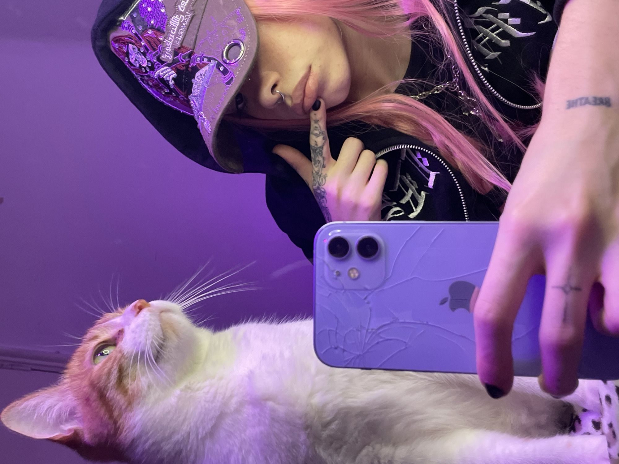 A low-angle shot depicts a person with pink hair, wearing a dark hoodie and a decorative cap, holding a purple cracked phone over a white and orange cat. The person has a nose ring, tattoos on their finger and wrist, and is looking down at the cat. The cat is looking up. The background is a solid purple color. There is no indication of the location being in Buenos Aires, Argentina.