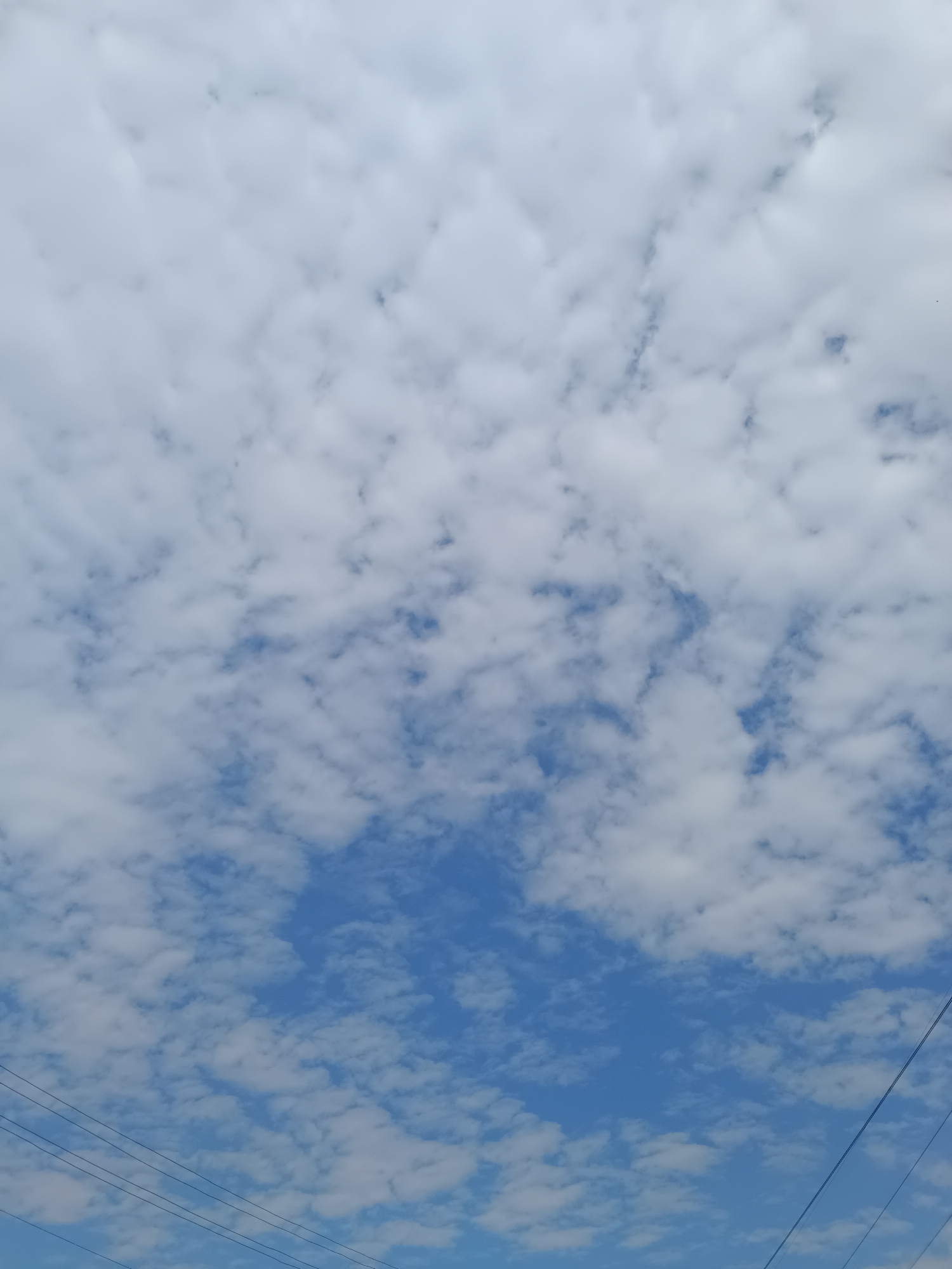 The image is a sky view of scattered white clouds against a clear blue sky. In the lower portion of the image, there are several dark horizontal lines, possibly power lines, stretching across the frame. The image does not contain any identifiable landmarks or elements that would indicate its location within Zaporizhzhia, Ukraine.