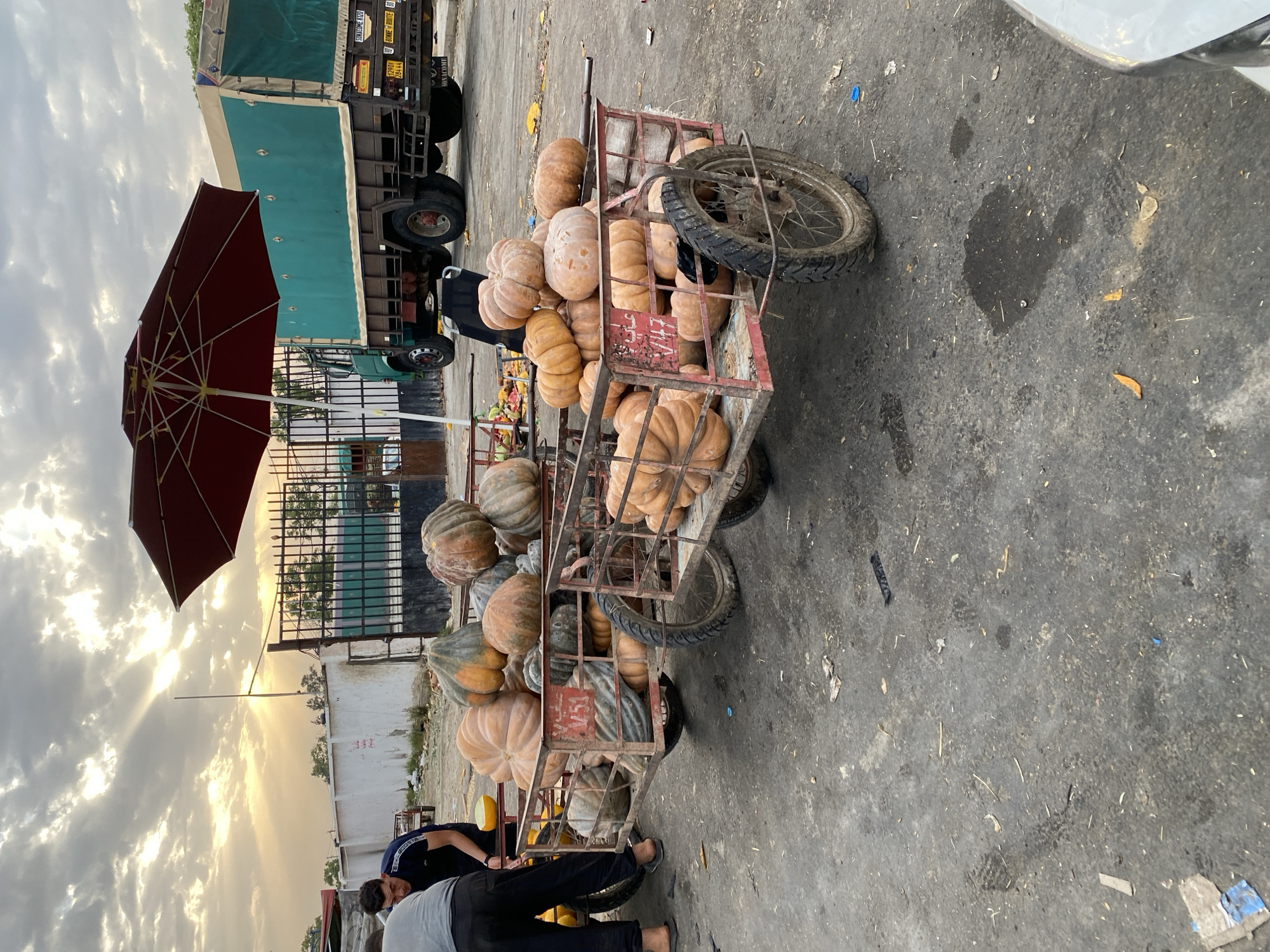 The image depicts an outdoor market scene in Bougara, Algeria, with a focus on two carts laden with pumpkins. In the foreground, two men are interacting near the carts. One man, wearing a grey t-shirt and dark pants, is partially visible from the side, and the other man, in a dark blue shirt and black pants, is standing and appearing to work. Both carts are constructed of metal with spoked wheels and are filled with various sizes and shapes of pumpkins, some stacked high. In the background, a large green truck with a tarped bed is parked. A burgundy market umbrella is set up, casting a shadow. The ground is paved asphalt, showing some signs of wear and scattered debris. The sky above is cloudy with shafts of sunlight breaking through, suggesting either sunrise or sunset. The overall impression is of a bustling market environment with fresh produce being prepared for sale.