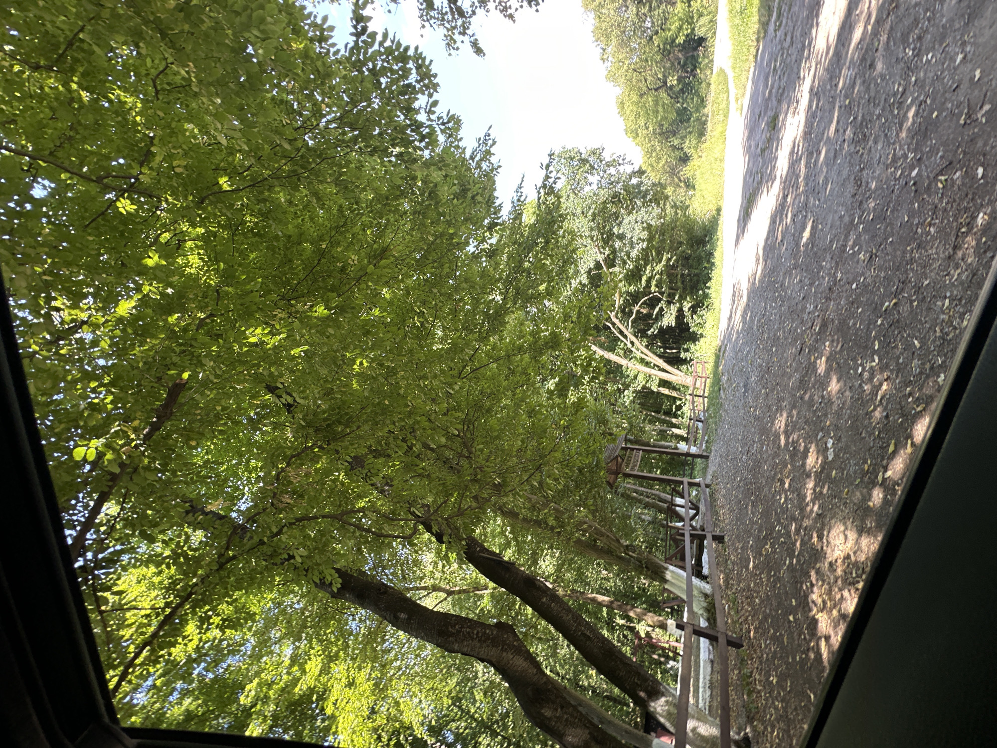 This image, taken from the interior of a vehicle, provides a view of a shaded pathway and surrounding trees. The pathway appears to be made of gravel and is dappled with sunlight and shadow. To the left, a wooden fence lines the pathway, with trees and foliage beyond. A rustic wooden structure, possibly a gazebo or shelter, is visible further down the path. The trees are lush and green, suggesting a warm, possibly summer, day. The sky is visible through the leaves and is a clear blue. The presence of a fenced area and the pathway suggest a park or recreational area. The image does not contain any people or specific landmarks that would identify it as being located in Shatava, Ukraine.