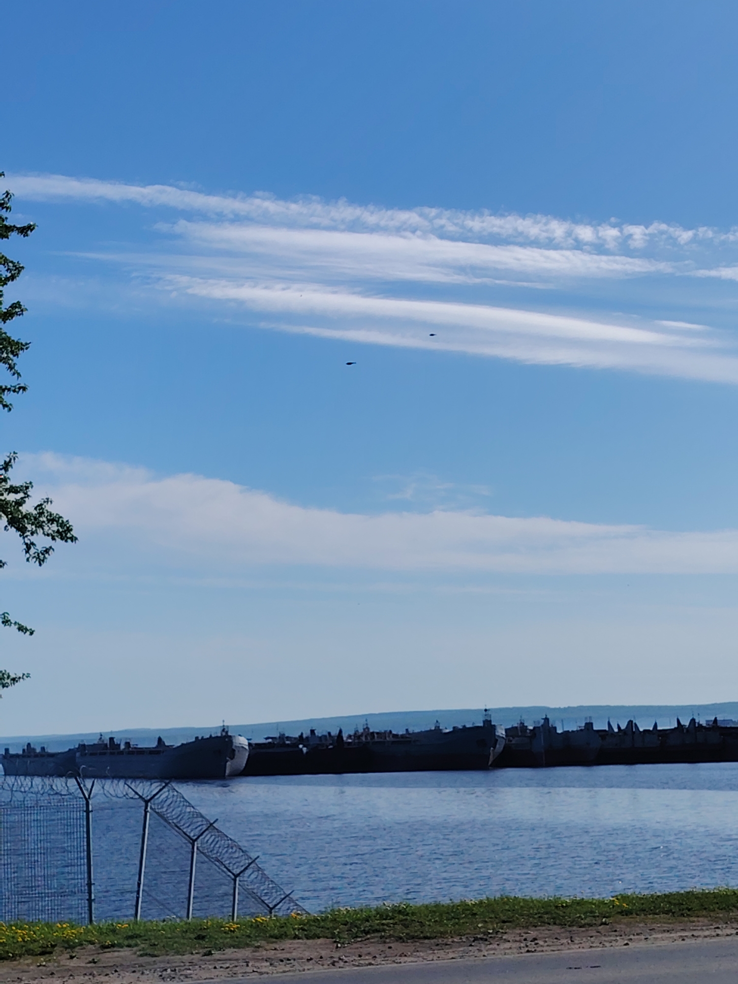 The image shows a waterfront view in Chaikovsky, Russia. Several large gray ships are moored in the water, their silhouettes prominent against the horizon. A chain-link fence with barbed wire tops runs along the shoreline. Beyond the fence is green grass with yellow flowers, transitioning to a paved surface. In the sky, a few small, dark objects resembling birds or possibly aircraft are visible amid scattered clouds. The overall scene is daytime, with a bright blue sky. A small portion of a tree with green leaves is visible on the left side of the frame.