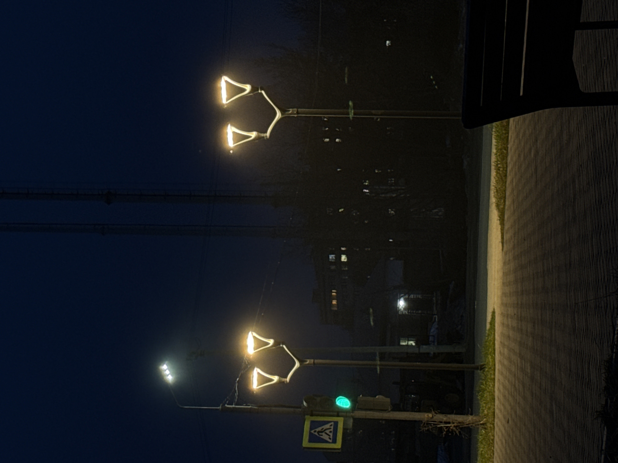 The image shows a street scene at night in Chaikovsky, Russia. Two lampposts, with a distinctive double-headed design, are illuminated. A traffic light is visible, showing a green light. A pedestrian crossing sign is attached to the same pole as the traffic light. The background includes an apartment building with lit windows. A sidewalk runs along the right edge of the image, partially obscured by a dark object in the upper right corner, possibly a bench.