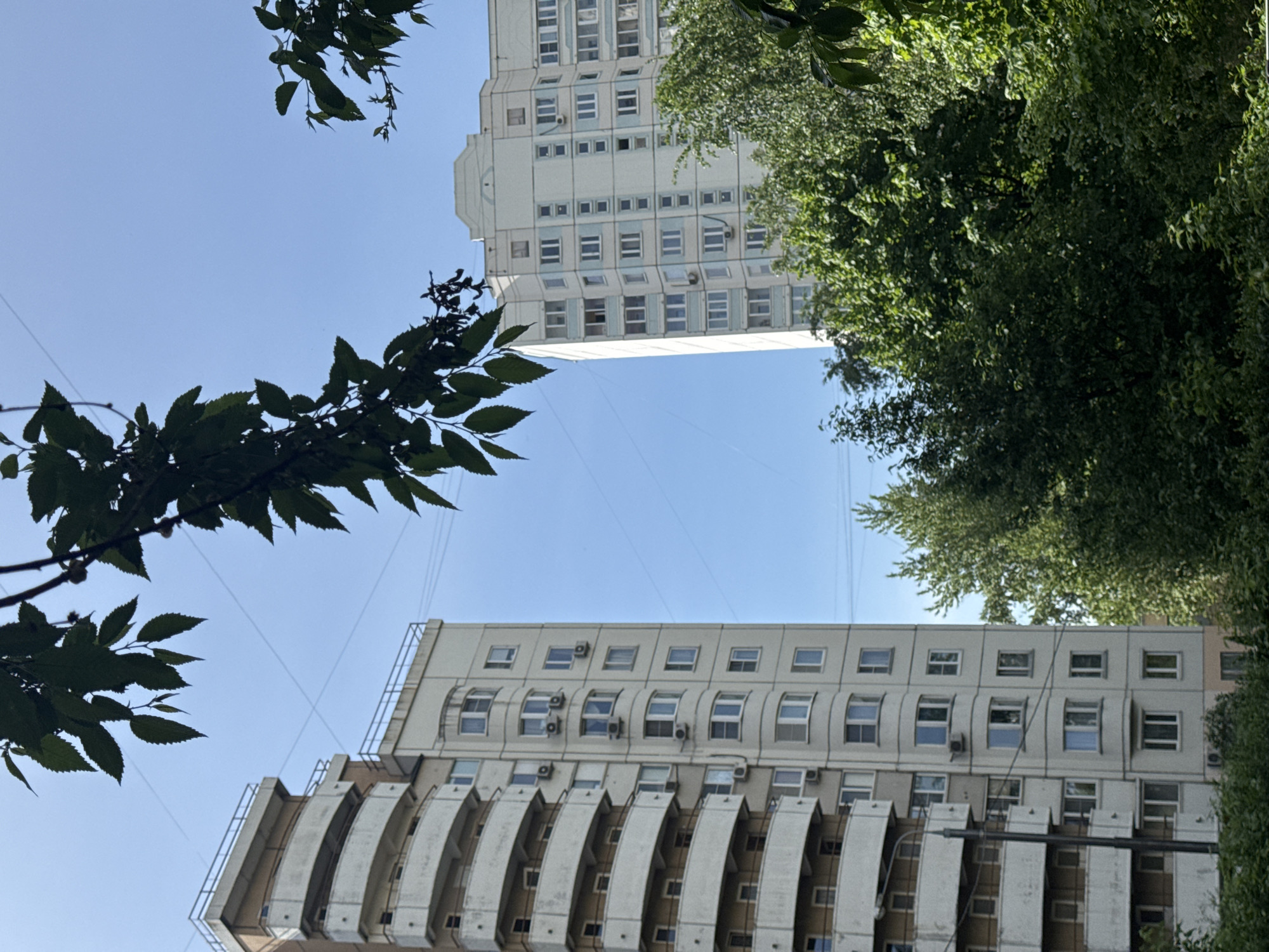 The image shows two buildings against a blue sky, partially framed by trees on the left and right. The top building is white with regularly spaced windows and a flat facade. The bottom building is also white but features a unique architectural design with protruding, arched elements along its facade. Both buildings appear to be residential or office buildings. The location is Moscow, Russia.
