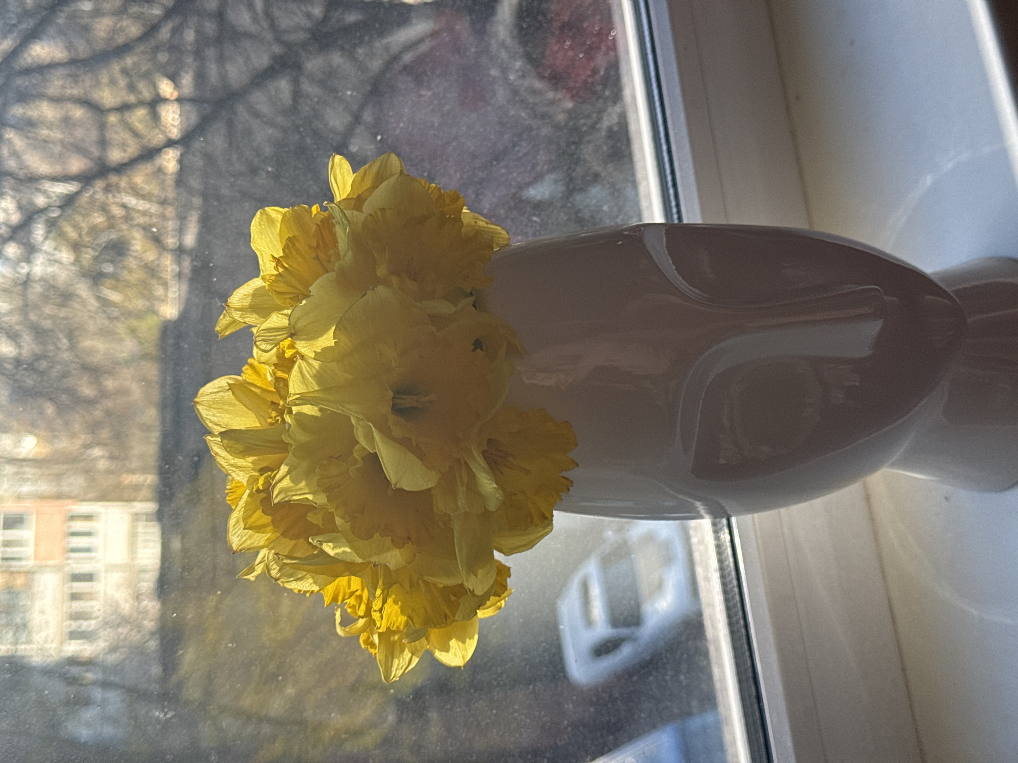 A cluster of yellow daffodils is arranged in a white vase, sitting on a windowsill. Outside the window, the scene depicts a residential area, likely in Kyiv, Ukraine, recognizable by the architecture of the buildings and bare trees characteristic of the region. The image is taken during daylight hours, as indicated by the natural light illuminating the scene. The focus is primarily on the daffodils and vase, with the outside scene providing context.