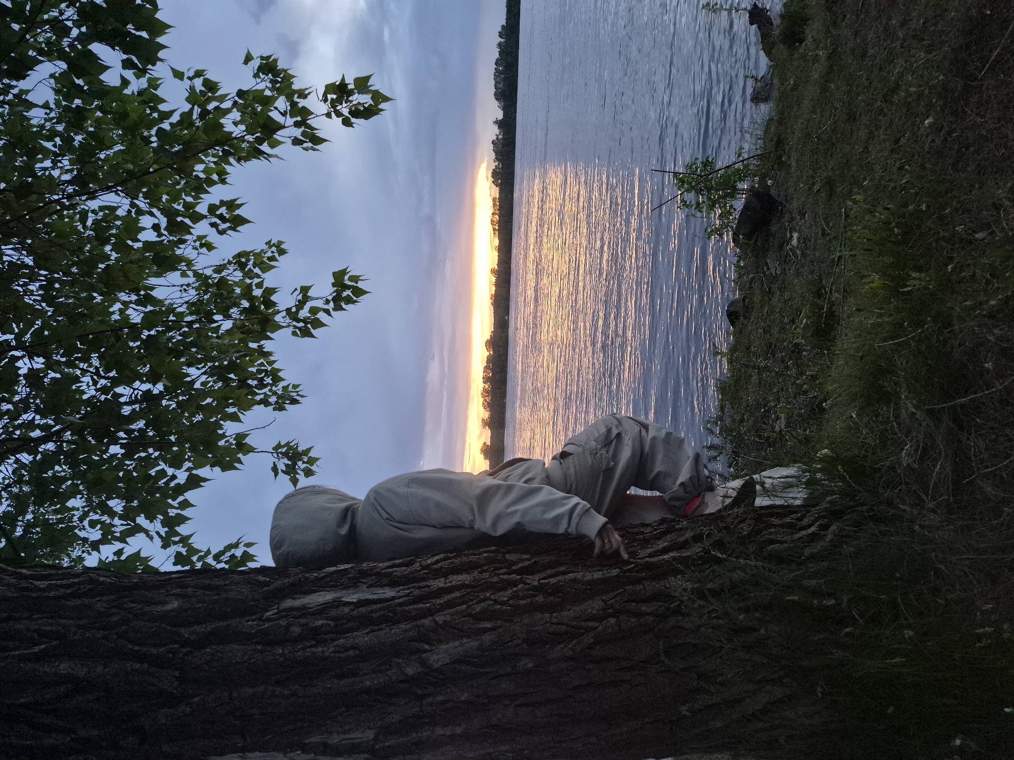 A low-angle, ground-level photograph shows a person lying on a large tree trunk, oriented horizontally in the foreground. The person is wearing a light grey hooded sweatshirt and tan pants, with their head facing left and body angled slightly toward the camera. Their right hand is extended towards the bark of the tree. The tree's foliage is visible to the left. Behind the tree, a body of water extends into the distance, reflecting a band of orange light, likely from a sunset or sunrise. A strip of land with trees is visible on the far side of the water. The sky above the water transitions from blue to grey, suggesting twilight or dawn. Vegetation is seen on the ground to the right of the tree trunk. The location is Chaikovsky, Russia.