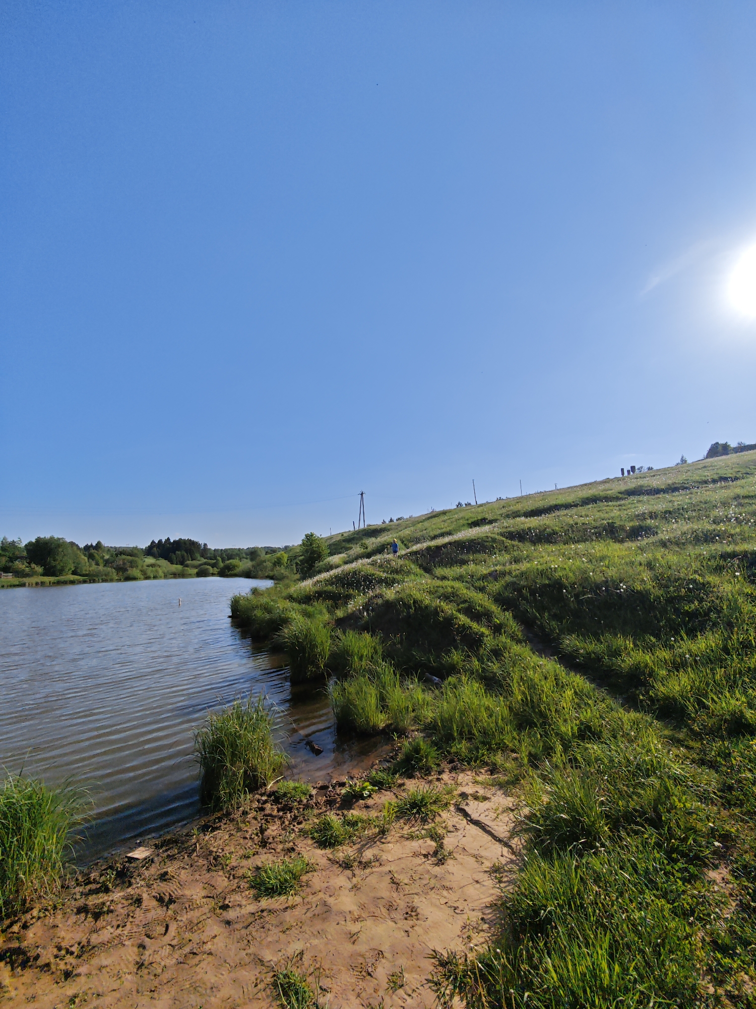 The image depicts a landscape with a body of water on the left and a grassy hill on the right under a clear, bright blue sky. The sun is positioned in the upper right corner of the frame.
The body of water is calm with subtle ripples on its surface. The shoreline consists of muddy sand with patches of green grass. Patches of grassy plants are seen emerging from the water.
The hill is covered with dense green grass and scattered white flowers. The vegetation appears to be wild and untamed. There are traces of paths winding up the hill.
In the background, trees and vegetation are visible, along with a utility pole on the crest of the hill.
Given the location provided, the image is likely of a natural landscape within or near the city of Фоки, Russia. There is no indication of the date or time of the image. No people are mentioned.