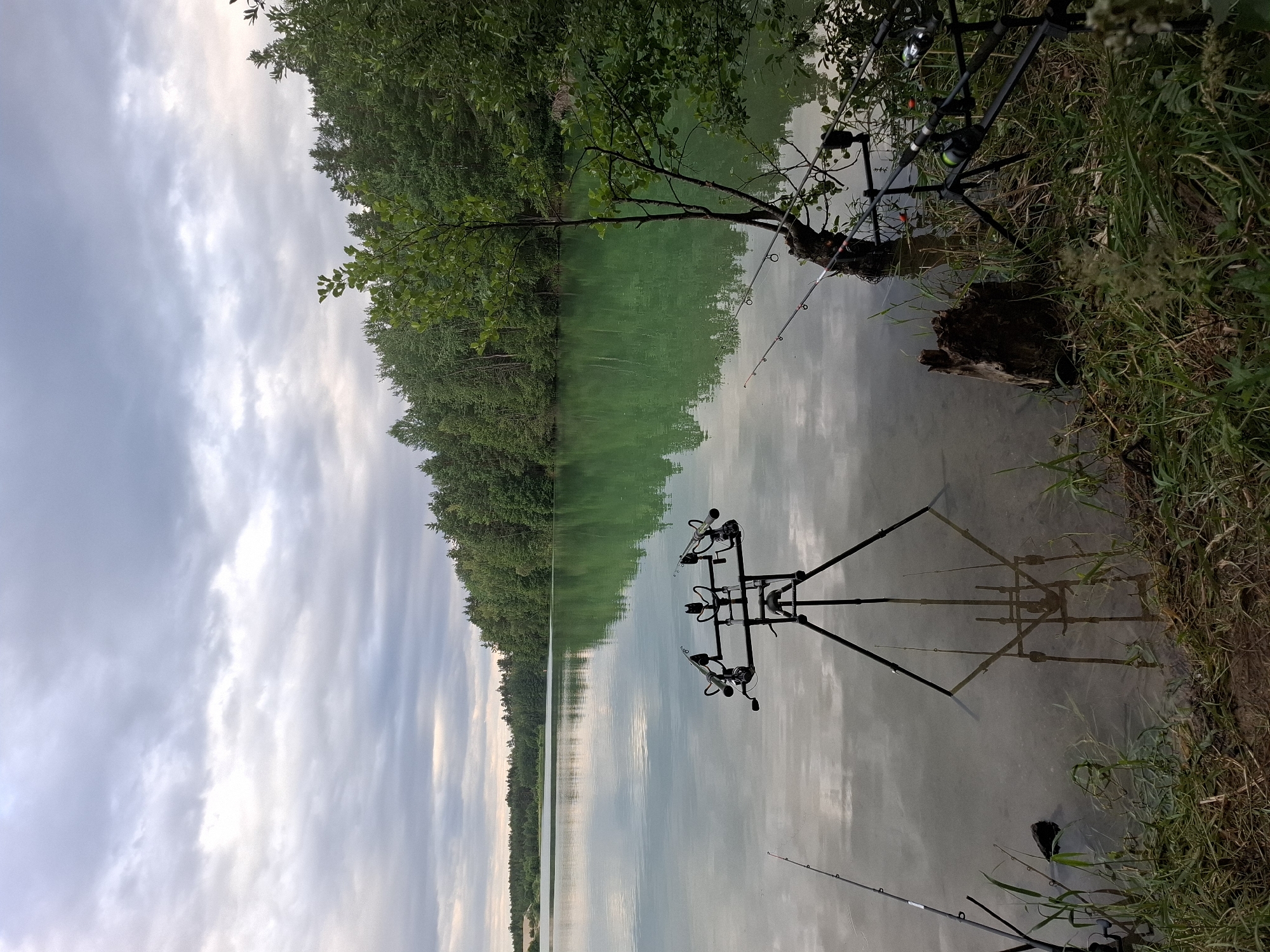 The image shows a serene lake scene in Nová Ves nad Lužnicí, Czechia. The foreground is occupied by a fishing setup with a tripod rod holder holding multiple fishing rods, positioned on the grassy bank of a tranquil, greenish-blue lake. The water reflects the overcast sky, which is filled with various shades of grey clouds. Dense green trees line the opposite bank of the lake, creating a lush backdrop. A single tree trunk stands in the water near the bank, with some fishing rods leaning against it. The shoreline in the foreground is covered with grass and some scattered debris. The overall atmosphere is one of quiet and anticipation, suggesting a fishing excursion.