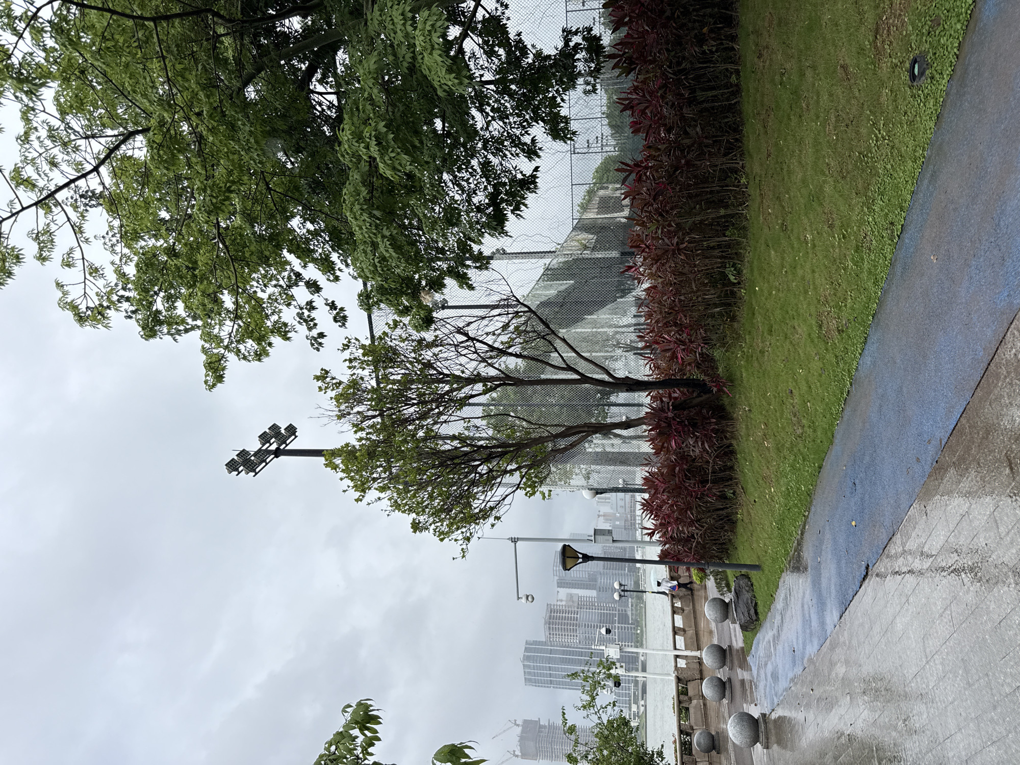 The image depicts a paved waterfront promenade in Haizhu District, China, under an overcast sky, possibly after rainfall, as indicated by the wet pavement. In the foreground, a grey tiled path is visible, leading to a blue-colored athletic track. To the right of the track, a strip of green grass is bordered by a dense row of red-leafed plants. Beyond the plants, a chain-link fence encloses a sports facility, with trees and light poles visible within. In the mid-ground, a person wearing a white jacket and dark pants walks along the promenade, holding a light-colored umbrella. A lamppost with a camera attached stands near the person. Further in the background, a body of water is present, with a cityscape of tall buildings and construction cranes visible on the opposite shore. Large trees with green foliage frame the scene on the right and left sides.