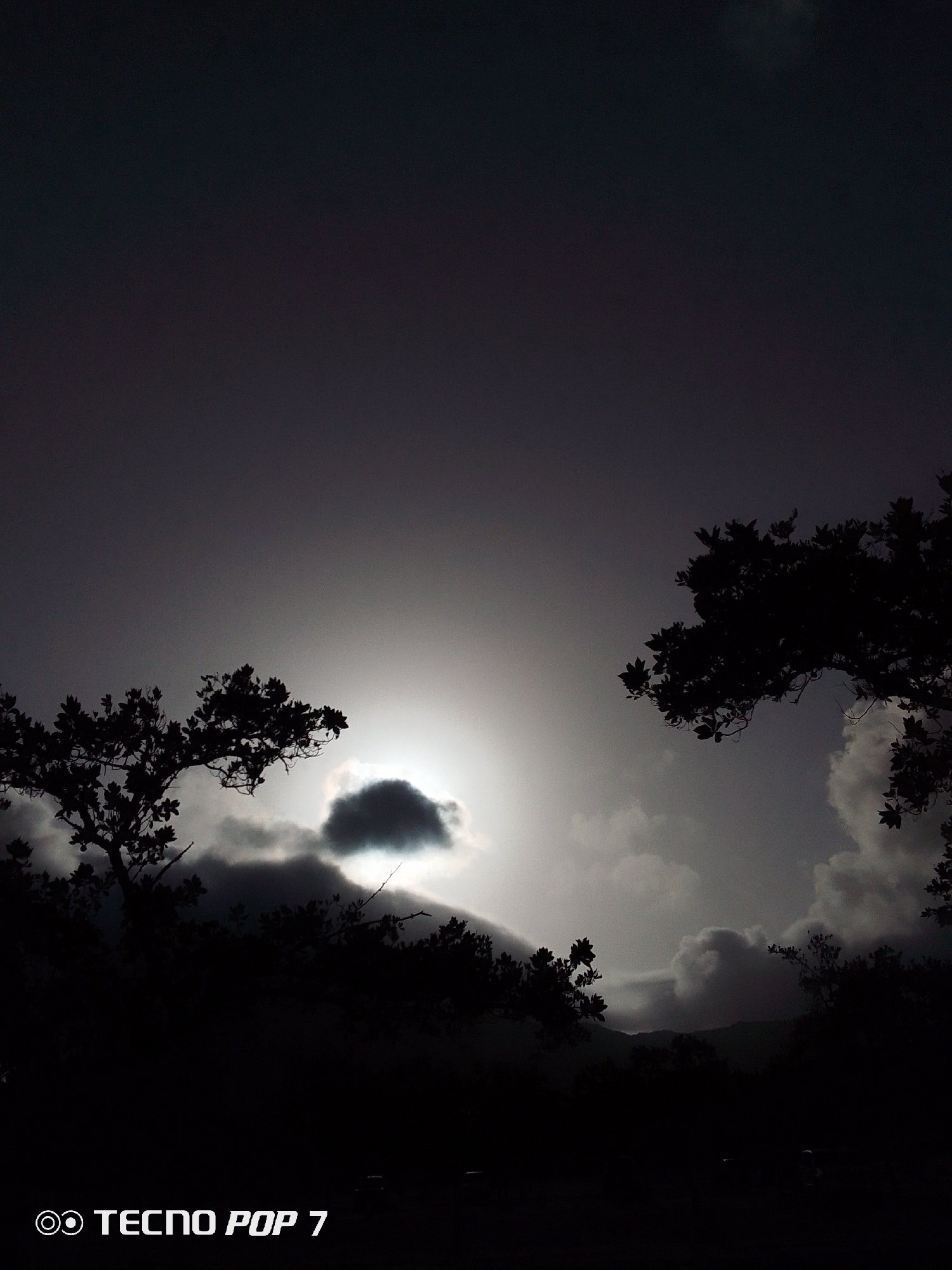 The image captures a twilight scene in Pedro González, Venezuela. The sky is overcast, with a bright light source, possibly the setting sun, obscured by clouds. Silhouettes of trees frame the scene, with the foreground appearing dark and obscured. The lower portion of the image contains the text "TECNO POP 7".
