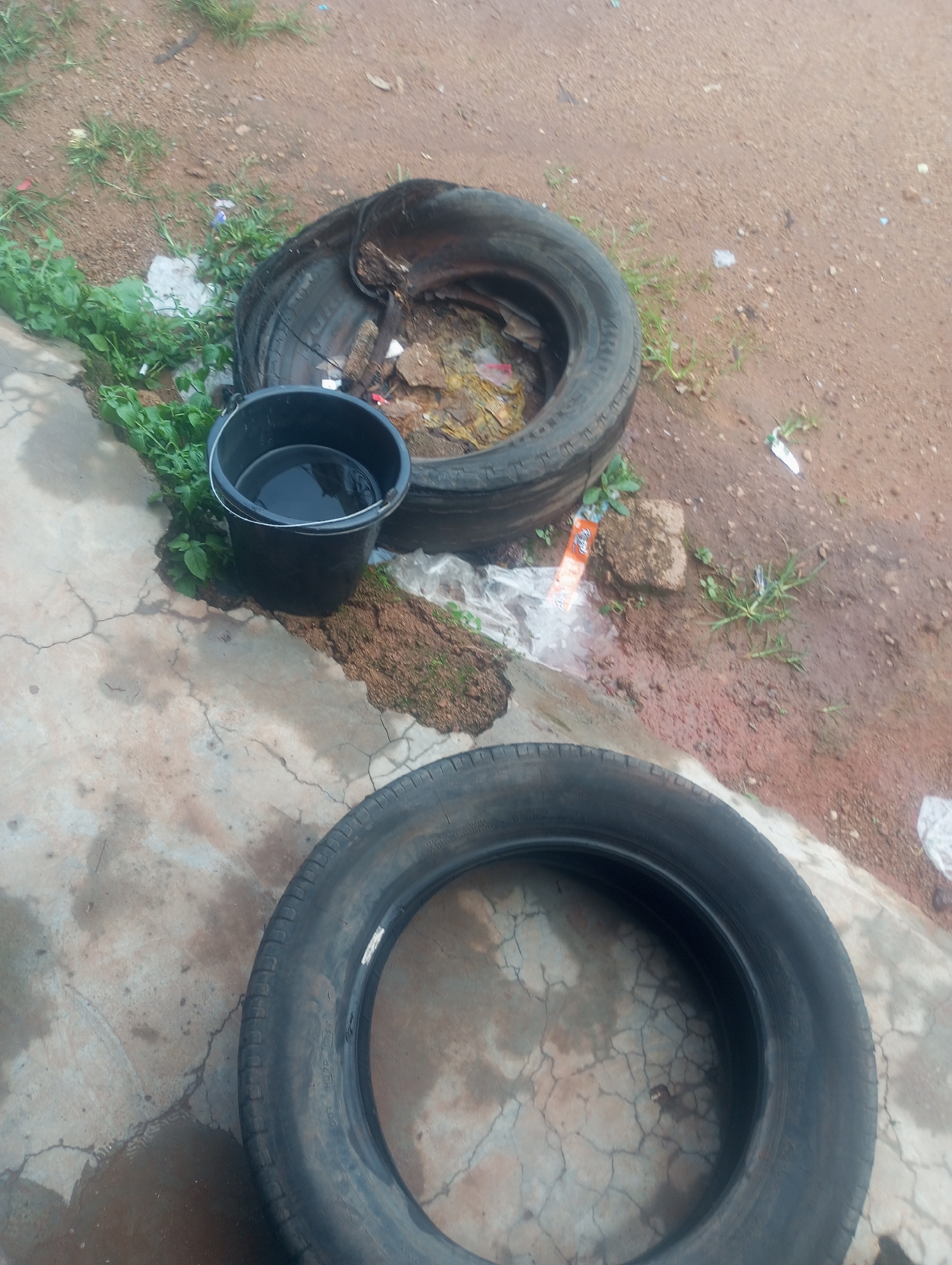 Two car tires and a black plastic bucket filled with water are present on the ground. One tire is positioned on its side, revealing its interior which contains dirt and debris. The second tire is lying flat on the concrete. The ground consists of cracked concrete and reddish-brown dirt with sparse patches of grass and scattered litter. The scene appears to be an outdoor area, possibly a roadside or a neglected yard.