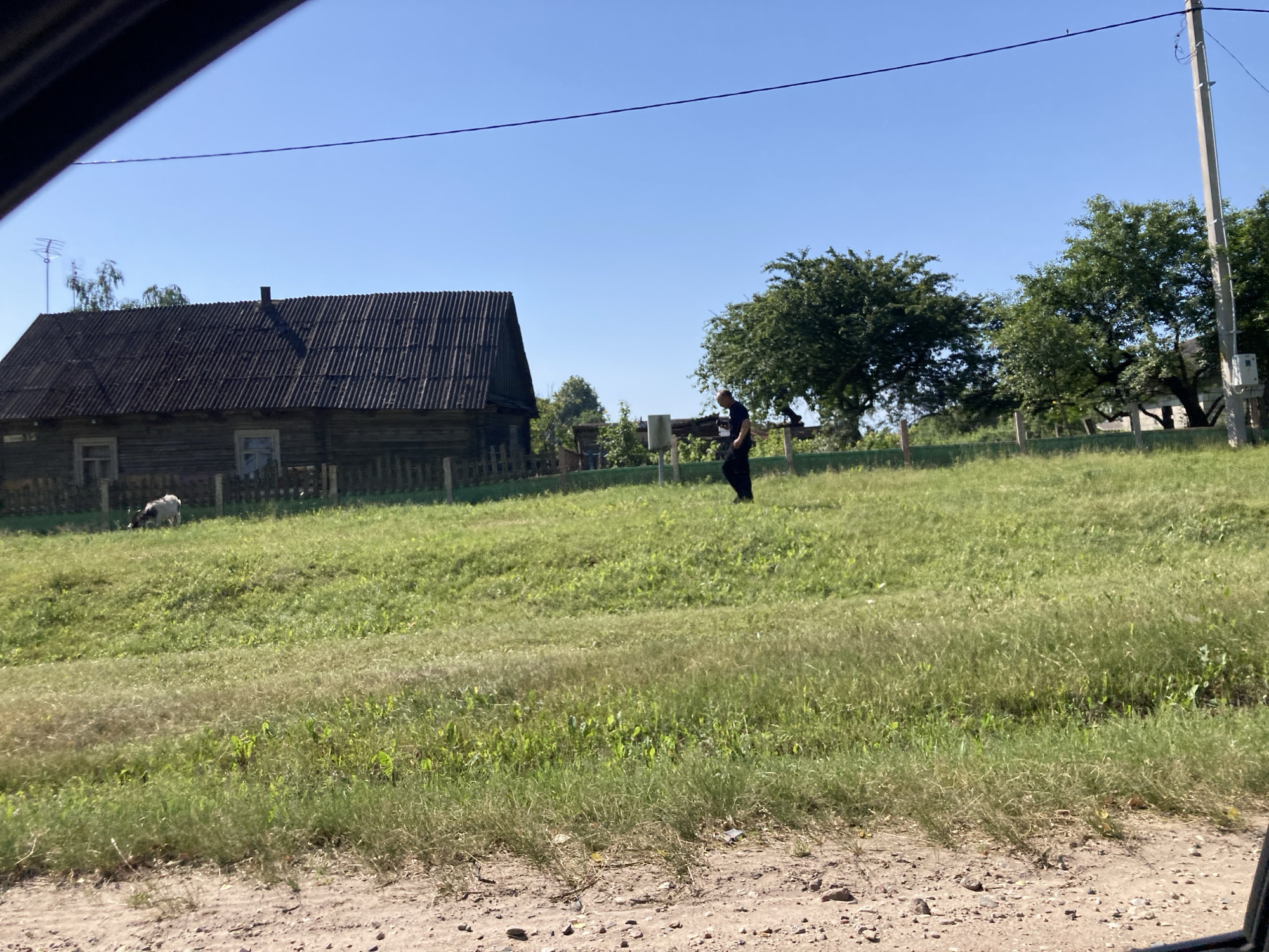 In a rural setting within the vicinity of Кухчыцкі сельскі Савет, Belarus, an outdoor scene unfolds under a clear blue sky. A weathered wooden house with a dark, corrugated roof stands on the left side of the frame, partially obscured by a dark element from the foreground, possibly the interior of a vehicle. In front of the house, a light-colored animal, likely a goat or sheep, grazes in the tall green grass. To the right of the house, a solitary individual dressed in dark clothing walks across the grassy field. Further to the right, a cluster of mature green trees dots the landscape, and a utility pole with wires stands prominently. The foreground is a dirt path with scattered stones and dry vegetation. The overall atmosphere is one of a quiet, everyday rural existence on a sunny day.