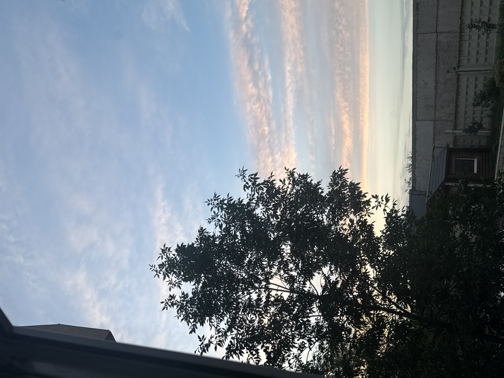 The image depicts an outdoor scene at dusk, with a silhouette of a tree in the foreground. The sky features wispy clouds tinged with pink and orange hues, suggesting the setting sun. In the background, a concrete fence runs horizontally across the frame, with a small wooden structure visible to the left of the fence. The environment appears to be a residential or semi-rural area. There are no people visible in the image. The location is identified as Orenburg, Russia.