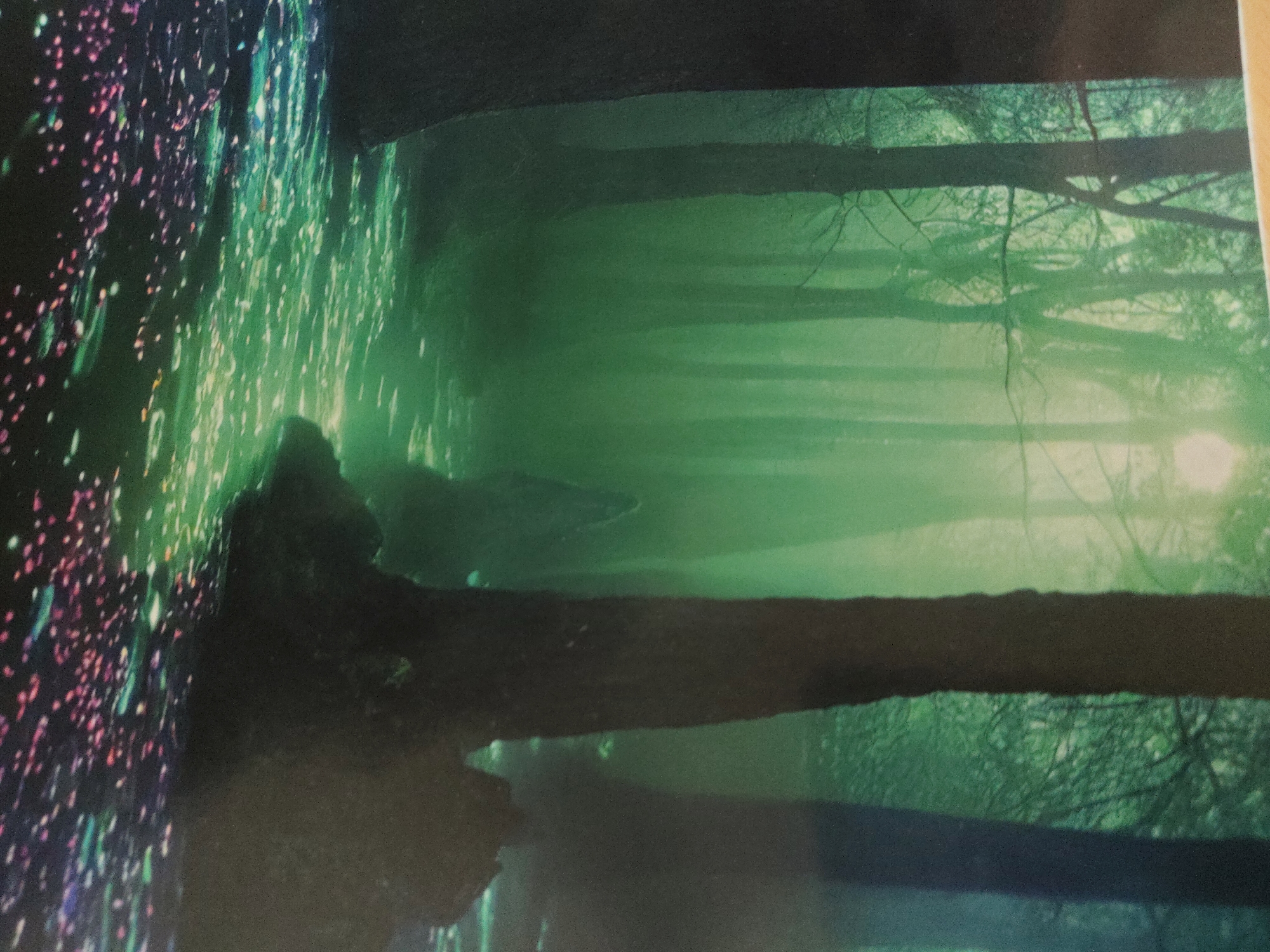 An image depicts a fantastical forest scene, likely at dusk or night, illuminated by an otherworldly green light and shimmering particles. The scene is characterized by distinct sections of light and shadow, creating a mystical atmosphere.
On the far left, a dense, dark vertical surface, possibly a rock face or a wall of trees, is adorned with countless small, bright, scattered points of light. These lights are predominantly vibrant green, but also feature significant clusters of pink, purple, and white, resembling bioluminescent dust or magical motes.
Extending horizontally across the middle and lower-middle portions of the frame are several thick, dark, silhouetted tree trunks or massive branches. One particularly prominent, thick horizontal branch dominates the lower-middle ground, stretching from the left edge towards the right. These dark forms stand in stark contrast to the luminous background.
The right side of the image reveals a misty, ethereal forest. Numerous slender tree trunks and bare branches recede into a soft, ambient green haze, which permeates the entire area. The foliage details are obscured by the mist, giving the trees a ghostly appearance. In the upper-right corner, a distinct, bright light source, possibly a veiled sun or moon, emits a strong glow through the atmospheric mist.
The overall environment is characterized by deep greens, emeralds, hazy light greens, and dark, almost black, silhouettes of trees. No people, animals, or specific discernible actions are present in the scene. The pervasive mist and the sparkling lights contribute to a deeply magical and enchanting ambiance.
