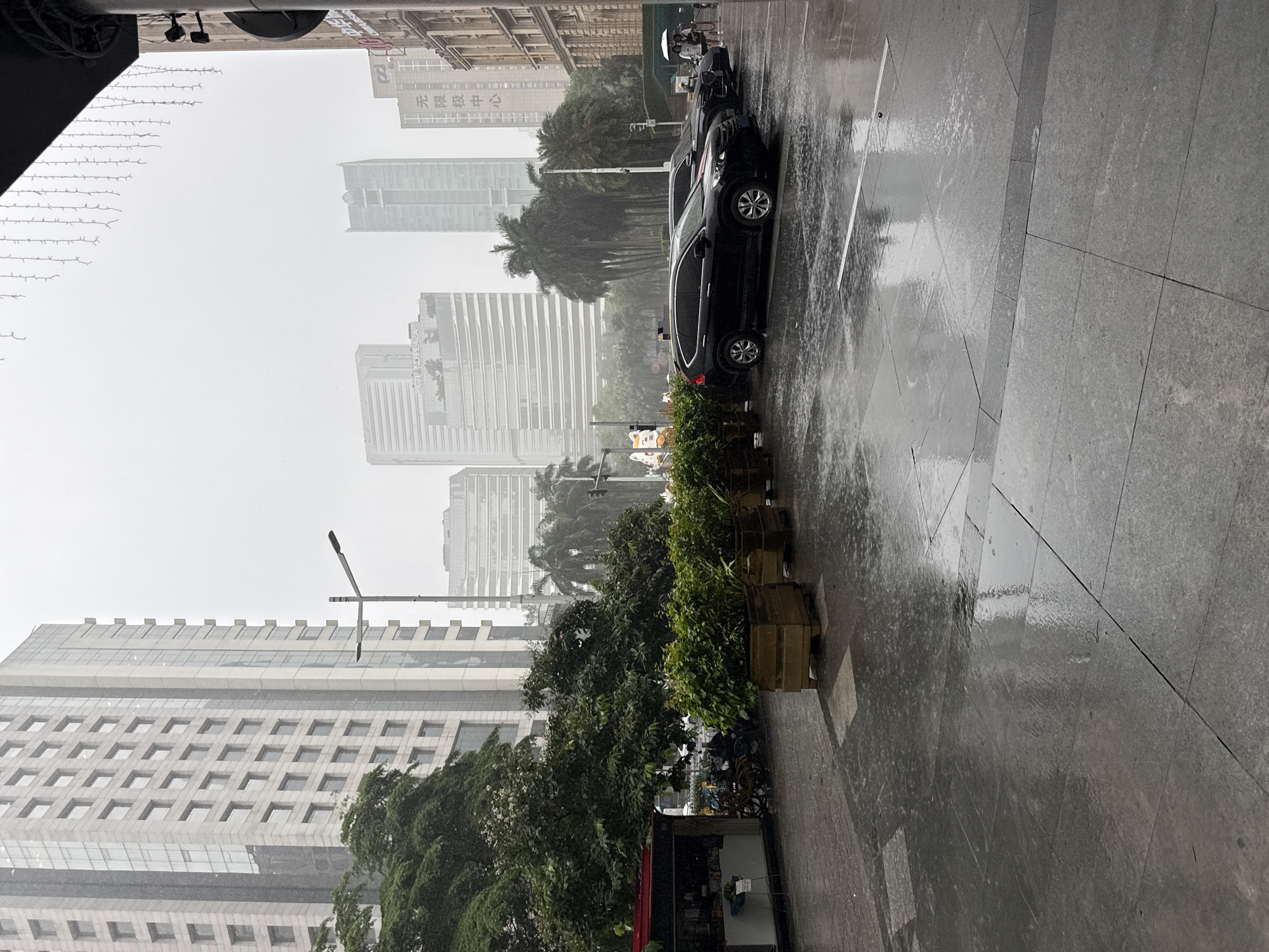 The image depicts a street scene in Tianhe District, China, during a rain shower. The perspective is at street level, looking towards a row of modern buildings. In the foreground, the wet pavement is visible, with reflections of the surrounding environment and scattered raindrops. Several large planters filled with greenery are lined up along the sidewalk.
To the left, a small stall with a red awning is partially visible, with some items displayed outside. Behind the stall and planters, a few parked bicycles and motorcycles can be seen.
In the middle ground, two black cars are parked on the side of the street, their surfaces glistening from the rain. Further back, palm trees and other foliage are visible, contributing to the urban landscape.
The background is dominated by tall, contemporary buildings with numerous windows, indicative of a bustling city. The sky is overcast, contributing to the subdued lighting and the overall impression of a wet, grey day. A street lamp stands prominently on the left side of the image. In the distance, more skyscrapers are visible, some with visible signage. A few pedestrians, some with umbrellas, can be observed further down the street on the right.