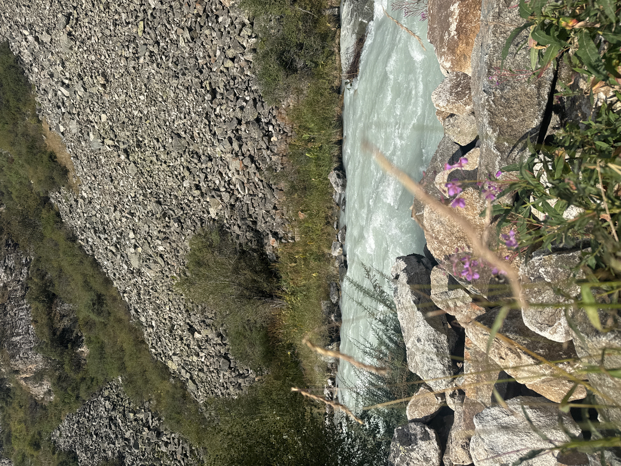 The image depicts a rugged, mountainous landscape with a fast-flowing river in the foreground. The river's water is a milky, turquoise color, indicating a glacial origin, with visible turbulence and rapids. The riverbanks are lined with large, grey and brown rocks, some of which are partially submerged. Lush green vegetation, including grasses and small bushes, grows along the river's edge, interspersed with rocks. In the background, a steep, rocky slope dominates the scene, covered in a dense accumulation of grey and brown scree. Sparse green bushes and trees are scattered across the slope, with a patch of lighter-colored rock face visible near the top. The overall environment suggests a remote, natural setting, possibly in a mountainous region. There are no people or man-made structures visible in the image. The lighting indicates it is daytime, with sunlight casting shadows on the rocks.