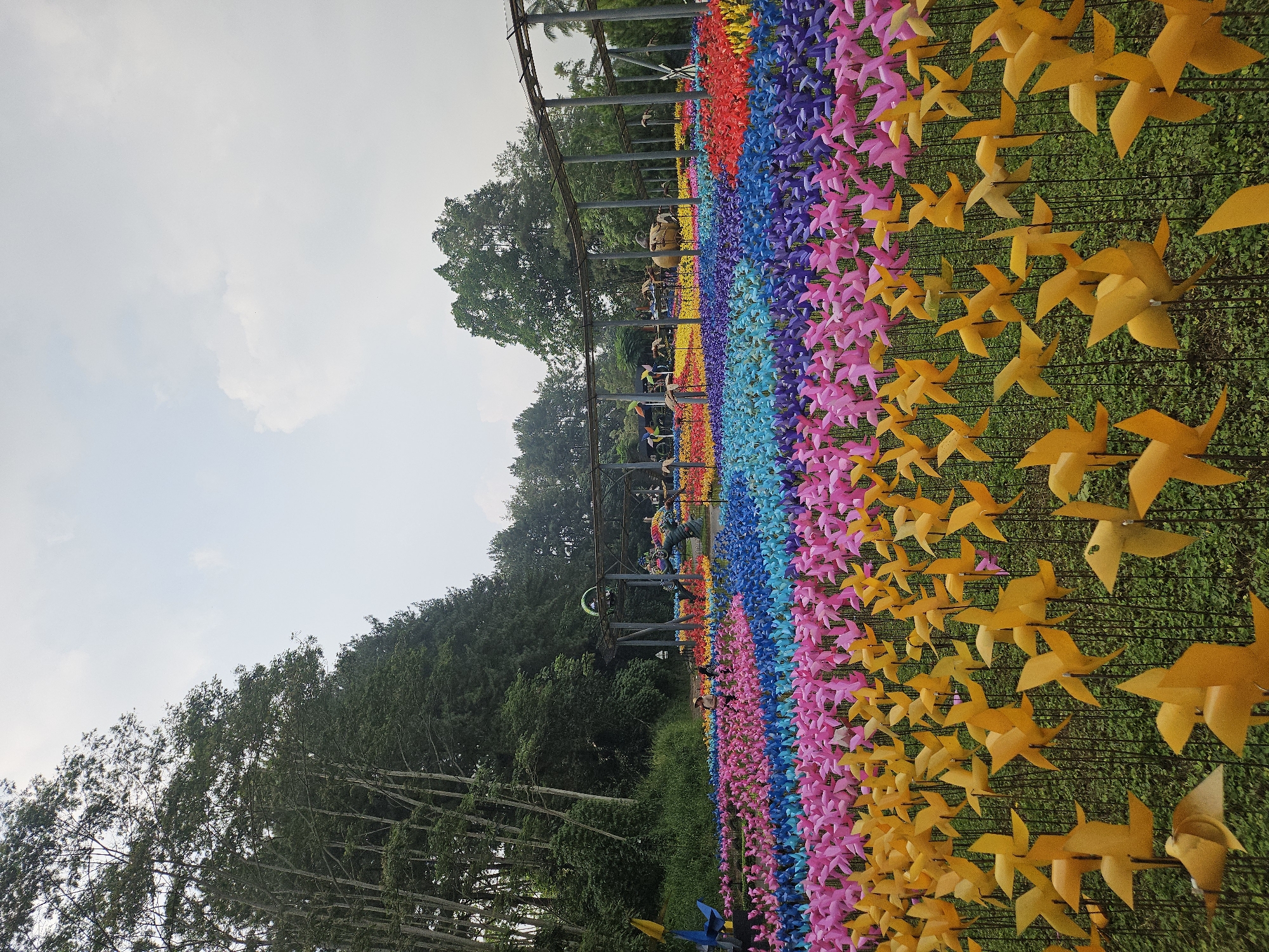 A landscape view shows a field of colorful pinwheels at the Taman Wisata Pos Pengumben tourist destination in Megamendung, Bogor Regency, Indonesia. The pinwheels are arranged in rows of distinct colors: yellow, pink, blue, purple, red. A metal structure stands behind the pinwheels with trees. The sky is overcast with clouds. The orientation of the pinwheel field goes from right to left in the picture.