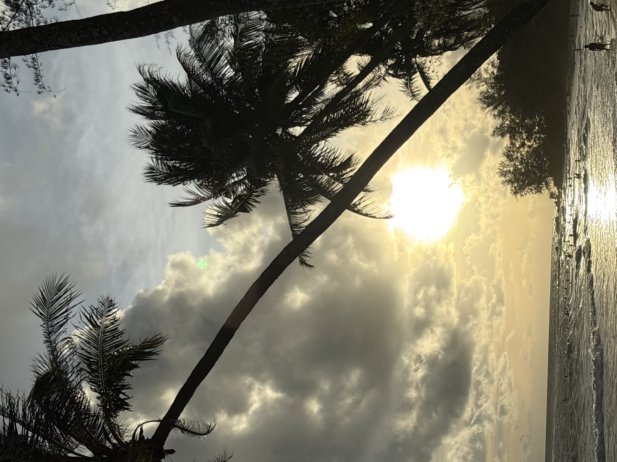 This is a vertical, slightly tilted, outdoor photograph taken at a beach during sunset. The image features silhouettes of palm trees against a sky filled with dramatic clouds. The sun is visible, casting a warm, golden glow that illuminates the clouds and the ocean. On the right side of the frame, the ocean is visible with gentle waves and the shoreline. Several people can be seen walking along the water's edge, their figures silhouetted against the bright water. One person is standing closer to the camera and appears to be wading in the water. The overall mood of the image is serene and peaceful, evoking the tranquility of a beach at dusk. There is no visible text in the image.
