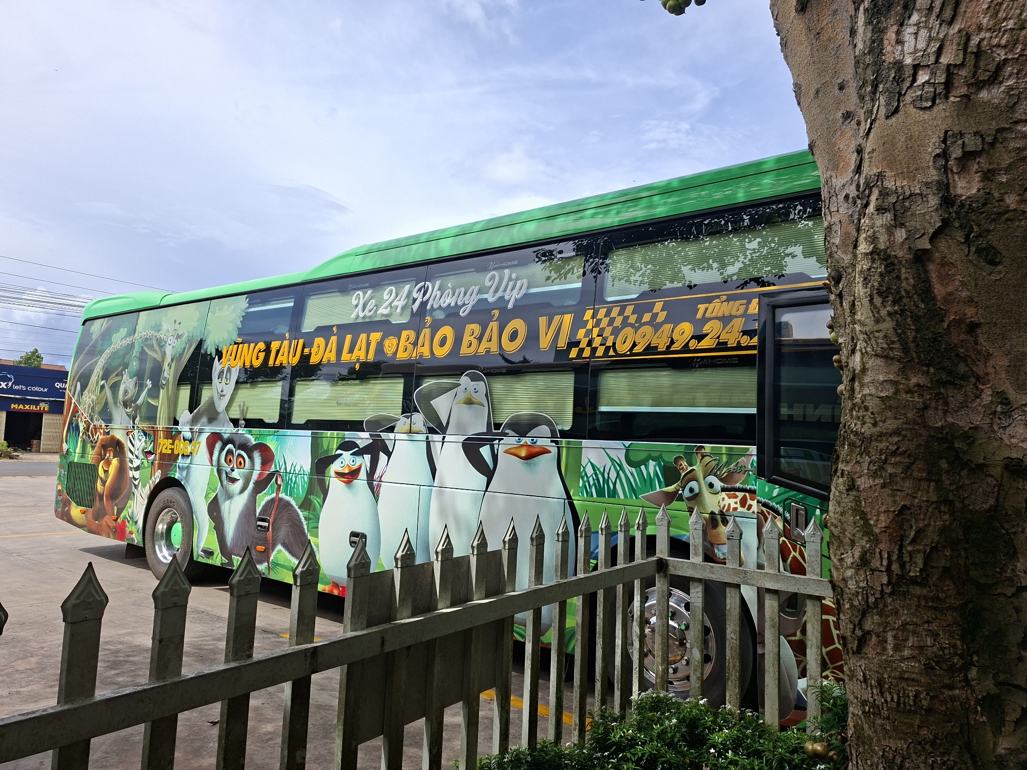 A brightly painted green bus, adorned with cartoon characters from the movie Madagascar, is parked in a lot. The bus features images of penguins, a lemur, a lion, a zebra, and a giraffe. Text on the side of the bus reads "Xe 24 Phong Vip Vung Tau - Da Lat - Bao Bao Vi" and includes a phone number. The bus is partially obscured by a large tree trunk on the right side of the frame and a metal fence in the foreground. The ground is paved, and a blue sky with scattered clouds is visible above. In the background, a building with a "MAXILITE" sign is present. The location is identified as Tân Phú 2, Vietnam.
