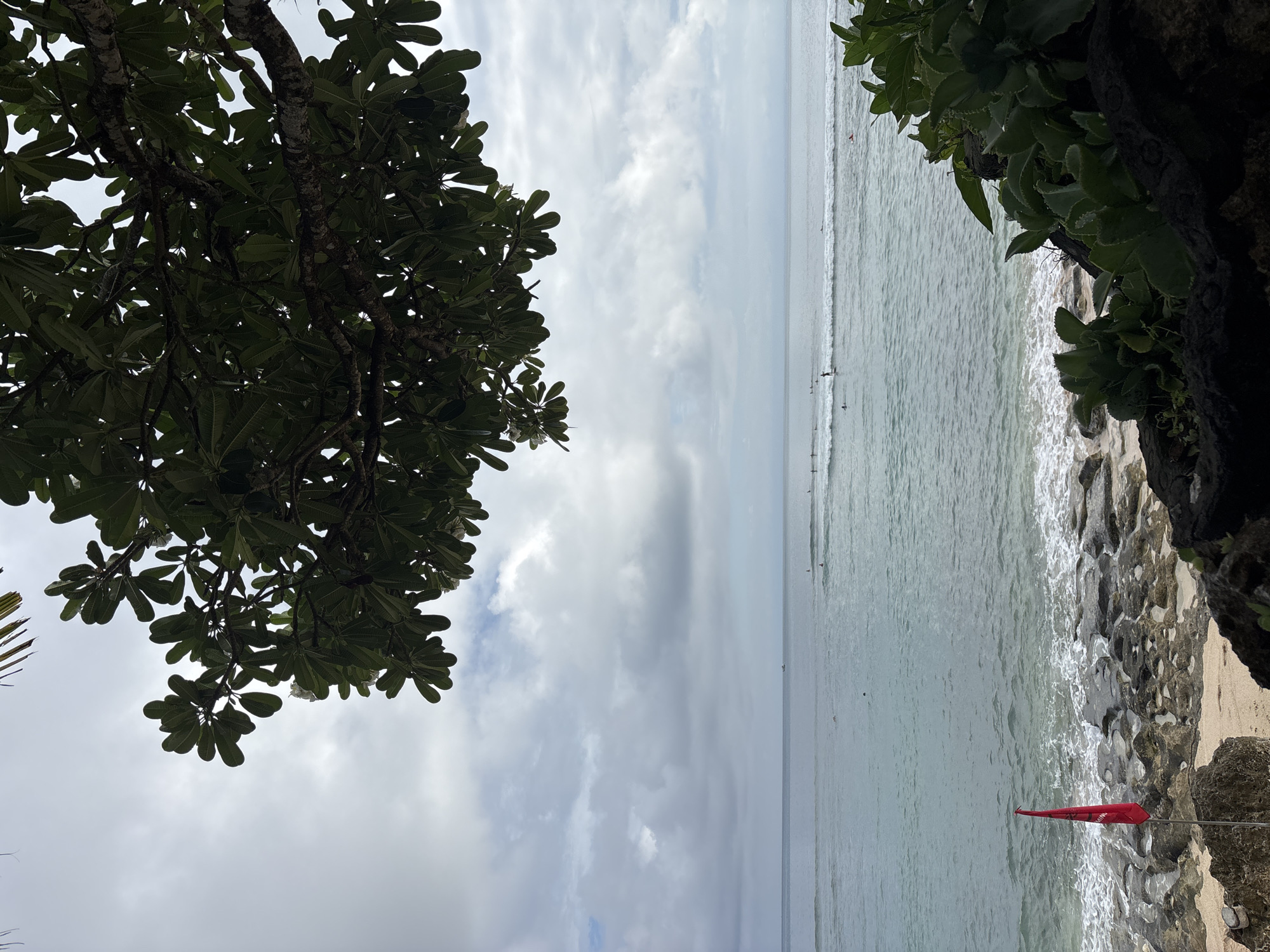 The image, oriented horizontally, depicts a tranquil coastal scene dominated by natural elements. In the upper-left quadrant, a large tree with dark, dense foliage and thick, gnarled branches extends into the frame. The leaves are broad and ovate, characteristic of a tropical species like Plumeria.
The majority of the background features a calm ocean under an overcast sky. The water is a soft, muted blue-green, with gentle waves breaking near the shoreline. Several small, dark figures are visible in the distance on the water, appearing to be surfers or swimmers.
Towards the bottom right, a rocky beach meets the ocean. Dark, rugged rocks line the shore, with patches of lighter sand visible in between. A vibrant red, triangular flag on a pole stands prominently on the rocky ground, near the water's edge, pointing towards the left, suggesting a light breeze.
The sky above the ocean is filled with white and gray clouds, indicating an overcast or partly cloudy day. The time of day appears to be daytime, though without direct sunlight. There is no visible text in the image. The scene conveys a sense of peacefulness, typical of a tropical beach environment like Kuta Selatan, Indonesia.