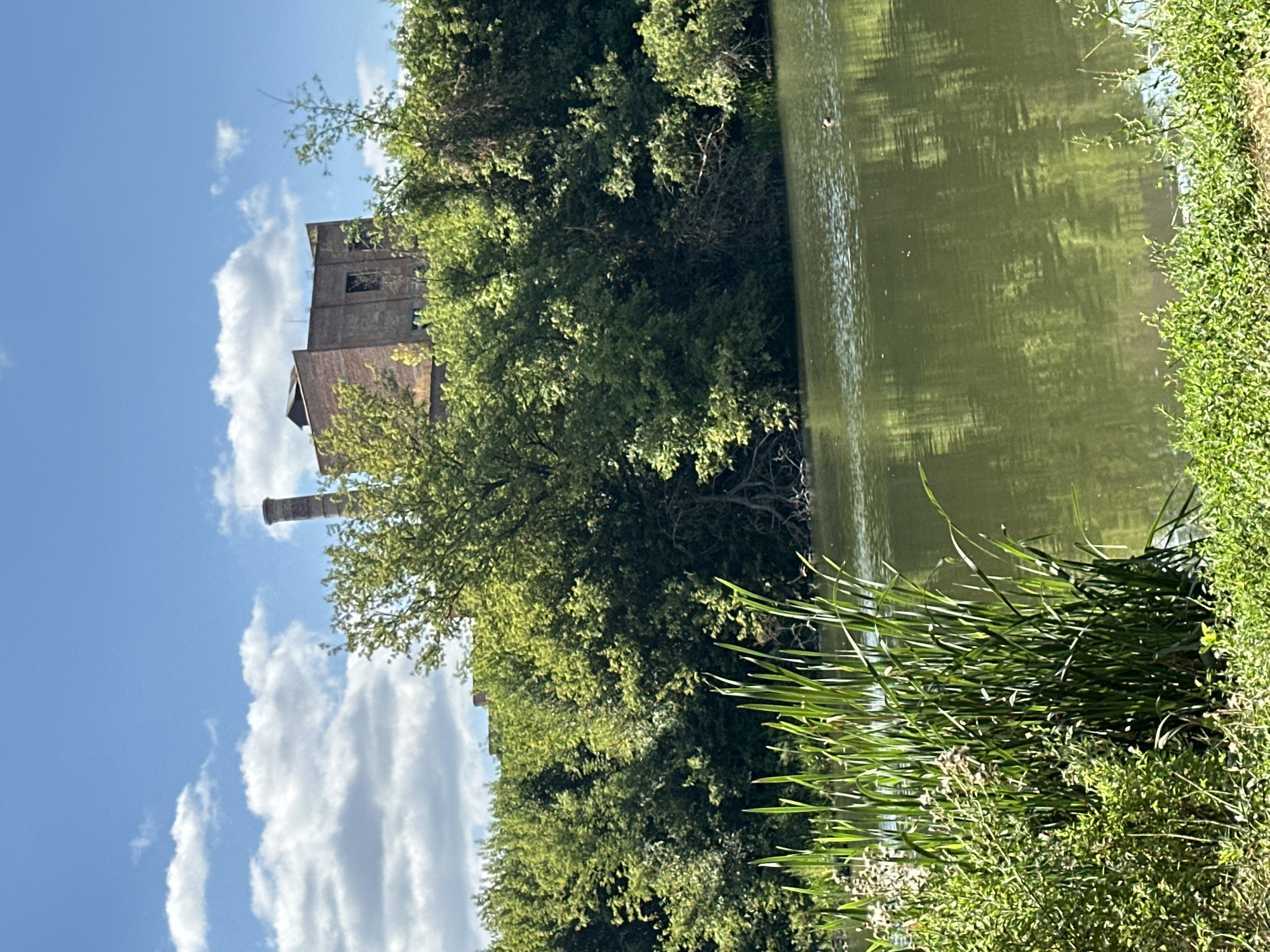 An outdoor, eye-level, medium shot shows a body of water in the foreground with a wooded area behind it, and a brick building with a chimney peeking out from behind the trees. The sky above is a light blue with scattered white clouds. In the foreground, reeds and other greenery grow from the bank of the body of water. The water is a murky green color, with ripples on its surface. In the distance, the brick building appears to be old and abandoned, with broken windows. The chimney is tall and narrow, and there may be a wisp of smoke coming from the top. The trees are lush and green, indicating a warm season. The overall impression is one of nature reclaiming an industrial structure. This scene is likely located in Shatava, Ukraine.