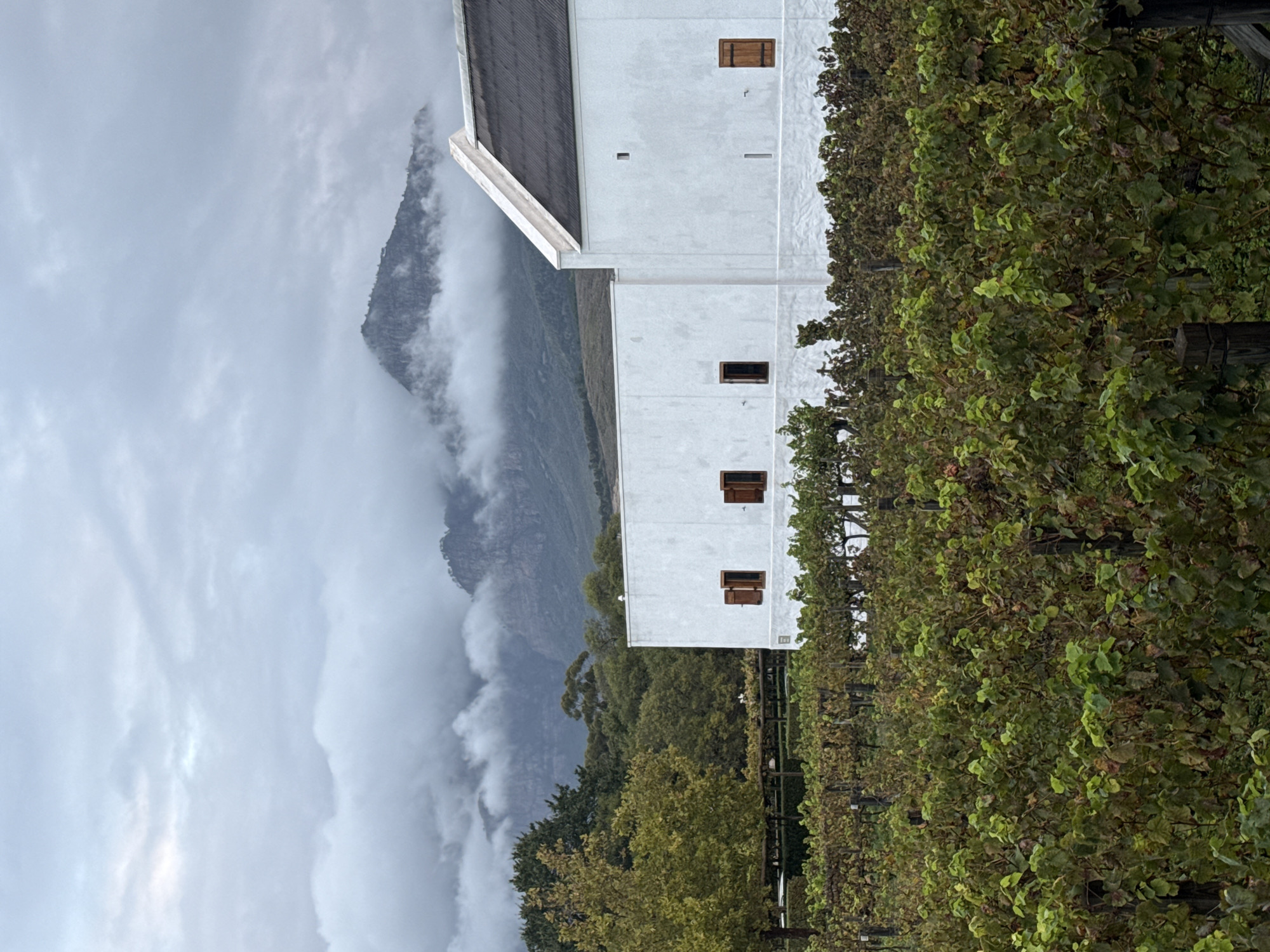 The image shows a vineyard in the Drakenstein area of South Africa. A white building with a dark roof stands adjacent to rows of grapevines. Behind the building, a tall mountain peak is partially obscured by clouds. The sky is overcast and grey. Trees and foliage are visible in the foreground, below the vineyard. The image is taken from a slightly low angle.