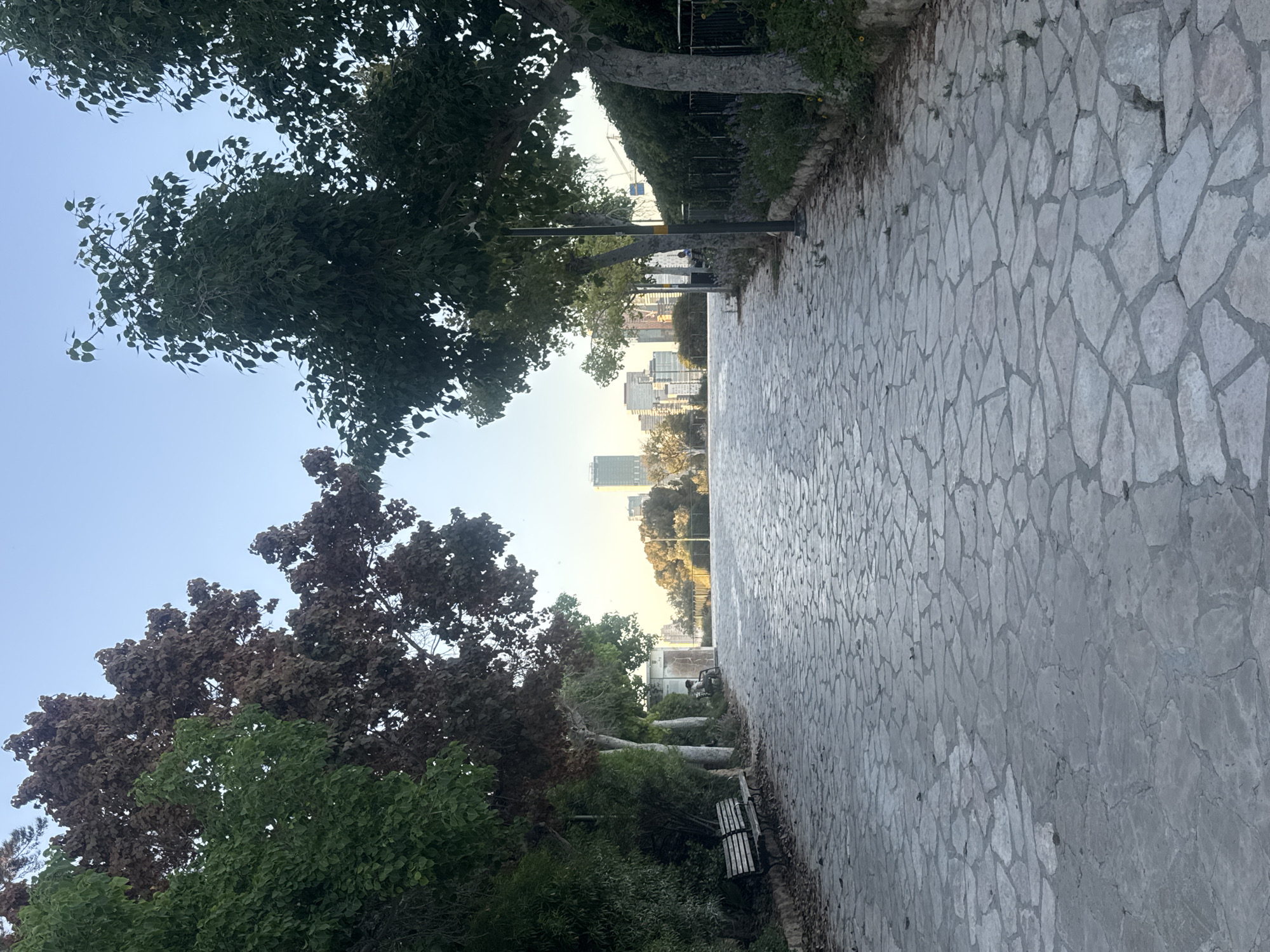 The image shows a paved walkway in a park with trees on the left side and buildings in the background. The walkway is made of irregularly shaped light-colored stones. Several trees with green and reddish-brown leaves are visible along the edge of the walkway. In the distance, there are modern buildings that appear to be in a city. A few benches are placed along the path. The sky is clear and blue, suggesting it is daytime. The light suggests it might be morning or late afternoon. There are no people visible in the image. The scene appears to be a public park or promenade, possibly near an urban area in Ramat Gan, Israel.