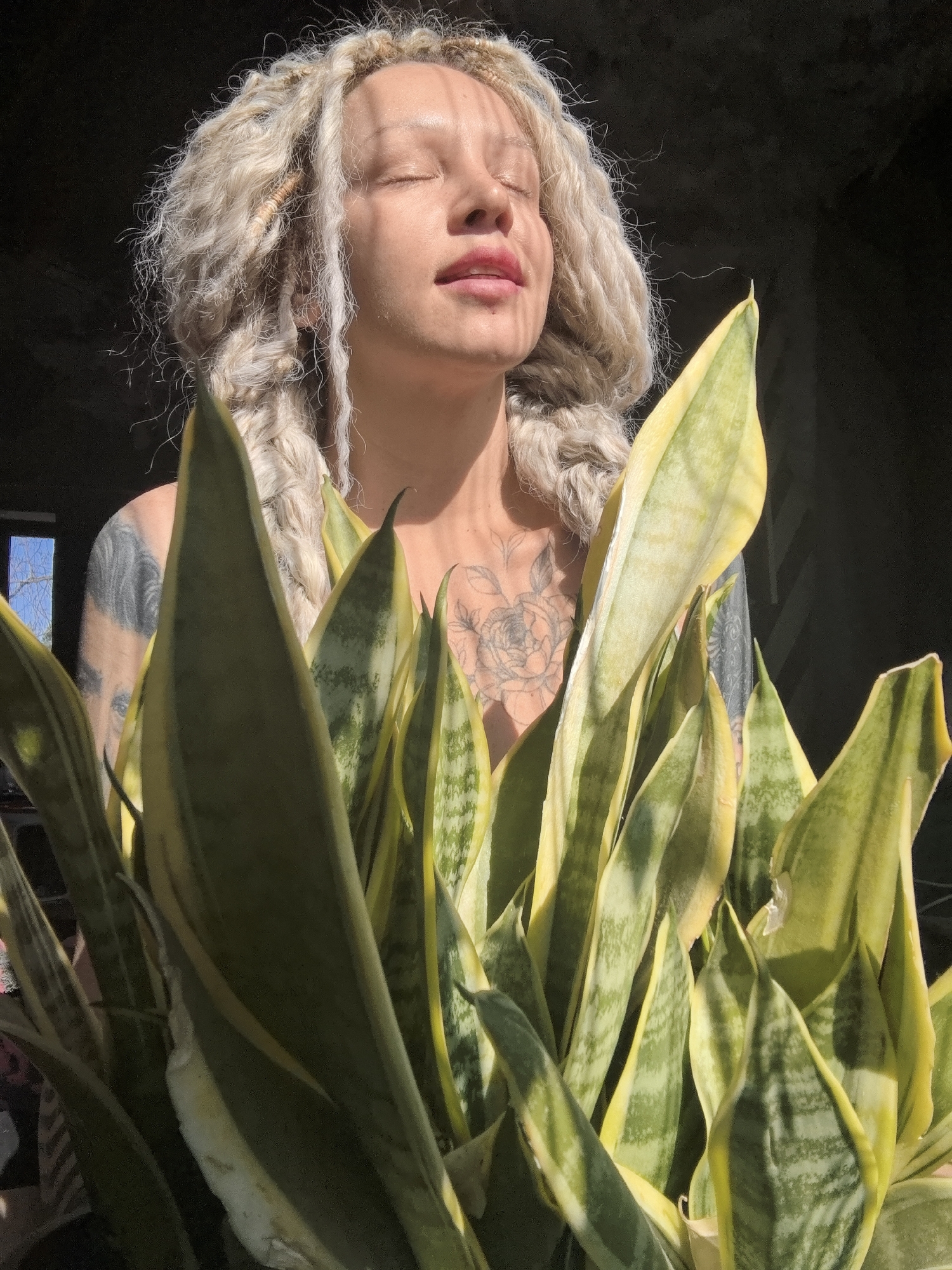 A serene portrait captures a person with light-colored dreadlocks and visible tattoos, basking in warm sunlight indoors, possibly in Noviy, Russia. The individual is positioned centrally, their face tilted upwards with eyes closed, displaying a peaceful expression as if enjoying the warmth. Striking striped shadows fall across their face, suggesting sunlight filtering through window blinds. Their lips are slightly parted, showing a hint of pink lipstick. Adorning their chest and arms are intricate tattoos, including a prominent floral design on the chest and a darker, less defined pattern on the left arm.
The lower half of the frame is dominated by a large, vibrant snake plant (Sansevieria trifasciata 'Laurentii') with distinctive green and yellow variegated leaves, creating a lush foreground. The plant's sharp, upright leaves are in sharp focus, contrasting with the softer background.
In the blurred background, a dark interior space is visible, with a window on the far left revealing a glimpse of a clear blue sky and bare tree branches, indicating it is daytime. The strong, direct sunlight highlights the textures of the person's hair and skin, as well as the plant's foliage, contributing to an overall mood of calm and natural beauty. No discernible text is visible in the image.