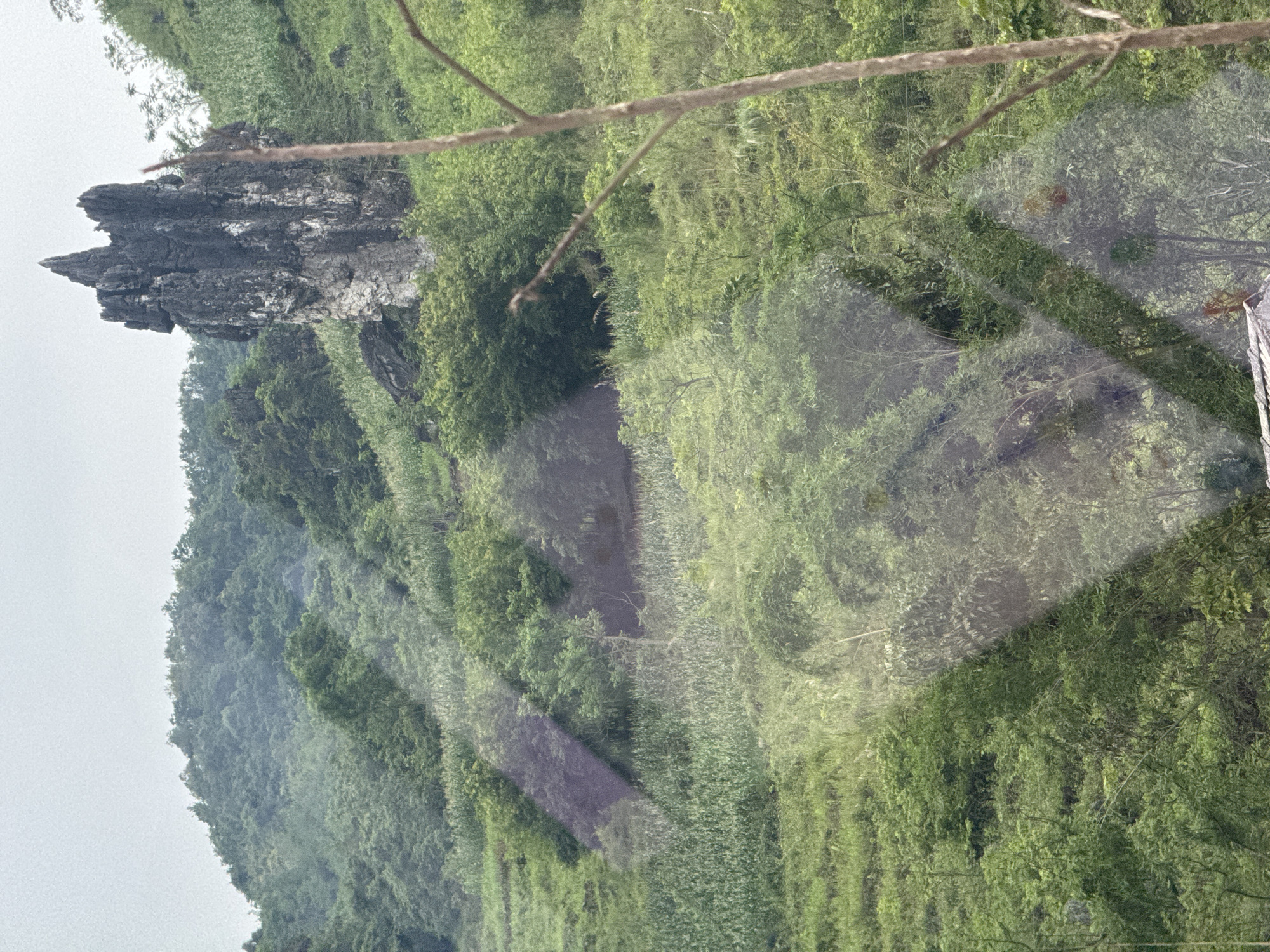 The image shows a hillside with dense green vegetation and a prominent rocky outcrop on the left side. The vegetation appears to be a mix of trees and tall grasses. A thin branch crosses the upper part of the image. The scene is partially obscured by a transparent, possibly reflective surface. The location is Lùng Tám Commune, Vietnam.