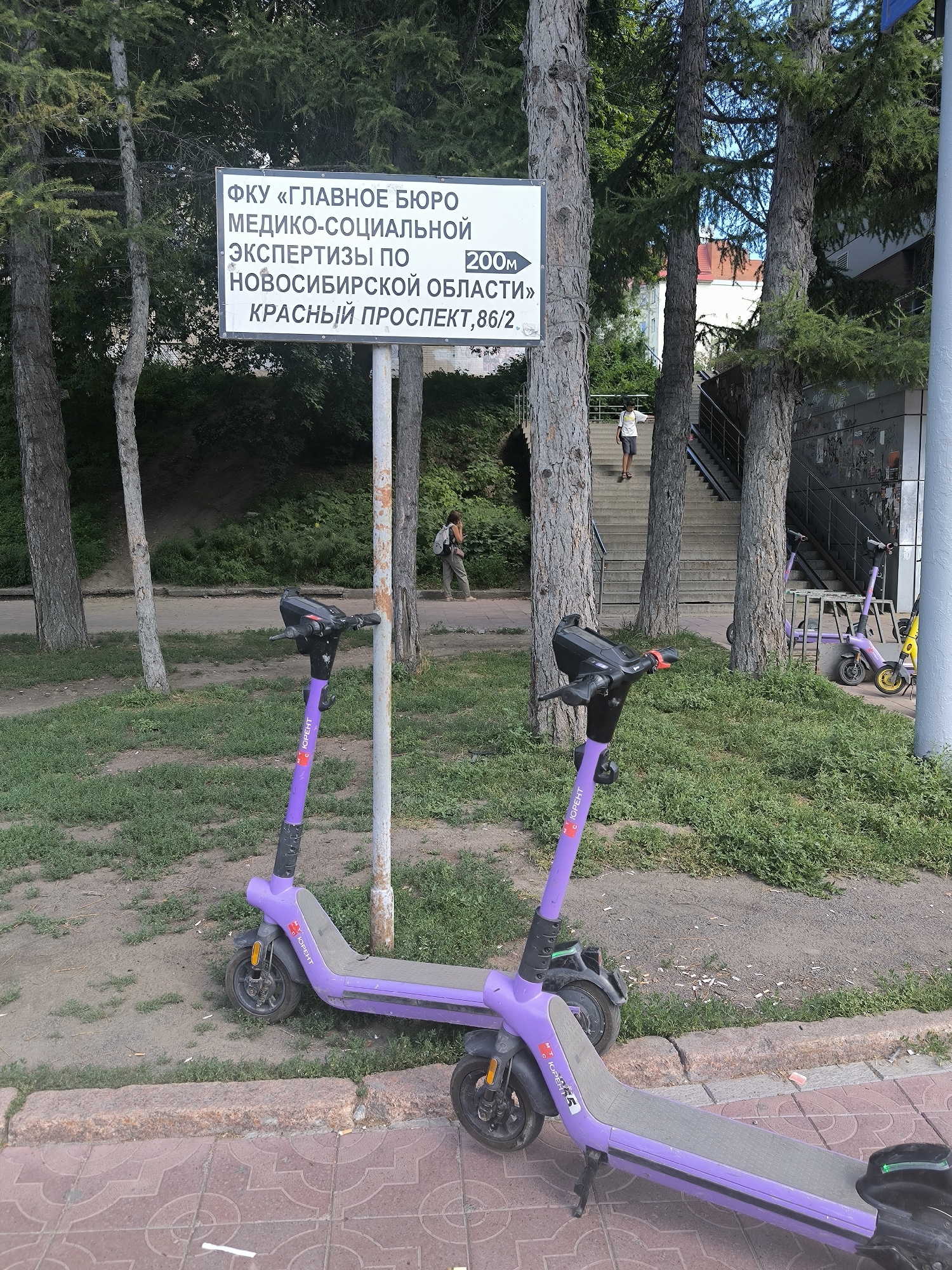 The image shows a street scene in Novosibirsk, Russia, featuring two purple electric scooters parked on a sidewalk. In the background, a sign is visible with Russian text that reads, "ФКУ «ГЛАВНОЕ БЮРО МЕДИКО-СОЦИАЛЬНОЙ ЭКСПЕРТИЗЫ ПО НОВОСИБИРСКОЙ ОБЛАСТИ» КРАСНЫЙ ПРОСПЕКТ,86/2" which translates to "Federal Institution "Main Bureau of medico-social expertise for the Novosibirsk region" Krasny Prospekt, 86/2". This indicates the location is along Krasny Prospekt, a major street in Novosibirsk. A person is seen walking up a set of stairs to the right of the sign, and another person is walking in the distance to the left. The environment includes trees, grass, and a sidewalk made of interlocking red pavers.