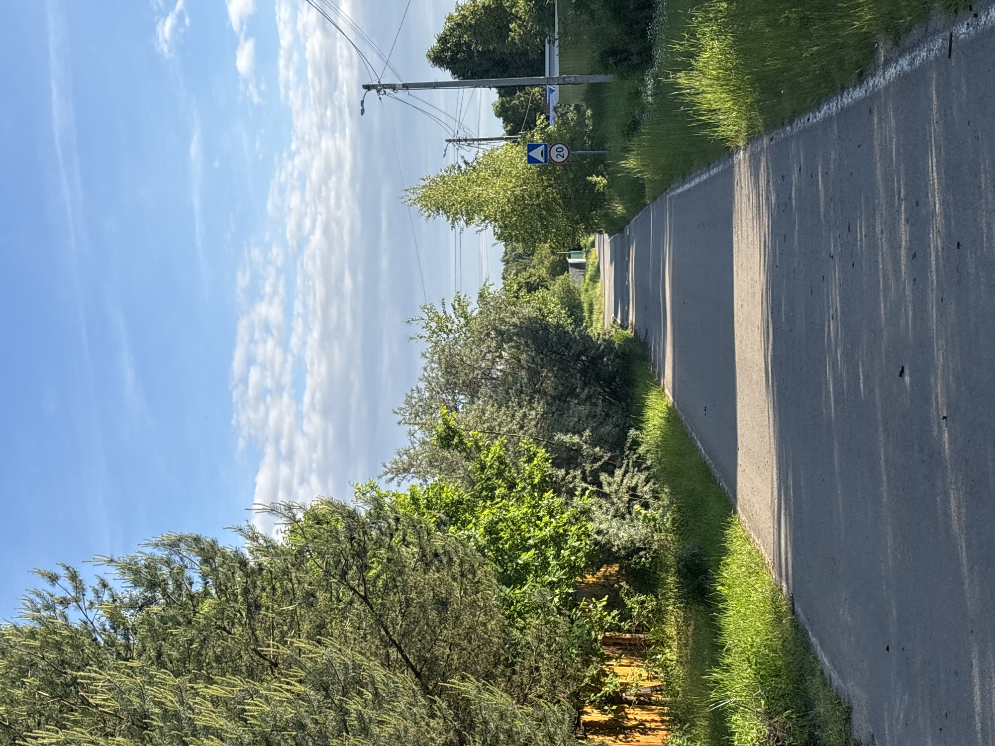 The image captures a serene, sunlit rural or suburban scene along a paved path or road in Мещёры, Russia. The view is oriented looking forward along the path, with dense green trees and foliage lining the left side. The road surface is gray asphalt, and a thin white line marks its edge against a strip of bright green grass.
Long, distinct shadows are cast across the road from the trees and foliage, indicating that it is either morning or late afternoon with a low sun angle. The sky above is a clear, vibrant blue with scattered white cumulus clouds, suggesting fair weather.
Further down the path on the left, several utility poles are visible, supporting power lines and streetlights. Attached to one of these poles are two road signs. One is a circular speed limit sign displaying the number "20" in red on a white background, indicating a speed restriction. Below it, a blue triangular warning sign with a white symbol of a speed bump or hump alerts to an upcoming road feature.
The overall scene conveys a sense of peacefulness and natural beauty, characteristic of a quiet country or semi-urban setting. No people or vehicles are visible, emphasizing the tranquility of the moment.
