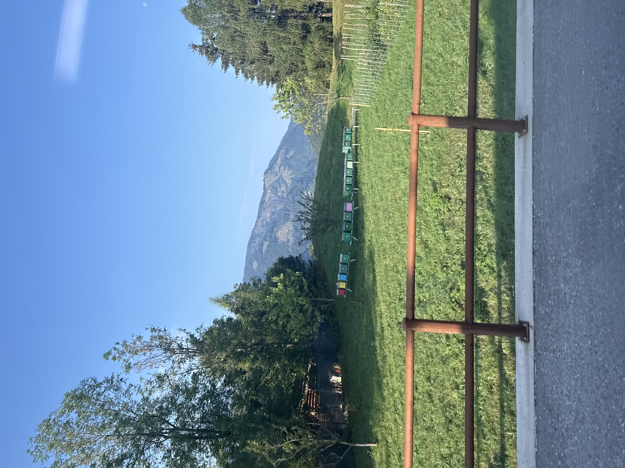 The image depicts a rural landscape with a line of colorful beehives set up on a grassy slope. The beehives are rectangular and painted in various colors, including green, yellow, and pink, with numbers visible on some of them. Behind the beehives, a dense line of evergreen trees forms a natural backdrop, with a rugged mountain range visible in the distance under a clear blue sky. In the foreground, a rusty metal railing separates the grassy area from a paved surface. The scene appears to be located in a tranquil, natural setting, likely in or around Castello di Fiemme, Italy, given the mention of this location. The lighting suggests it is daytime, possibly morning or afternoon. There are no people visible in the image.
