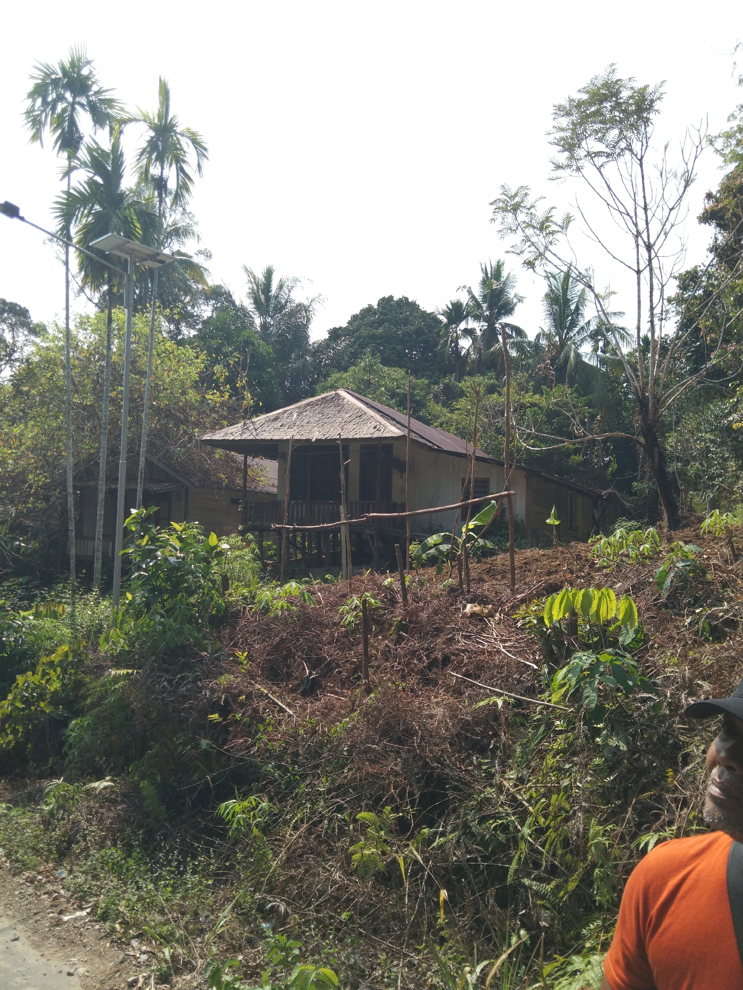 This is a medium shot, eye-level photograph taken on a sunny day in Gemuhan Asa, Indonesia. The image depicts a rural dwelling with a thatched roof and wooden stilts, surrounded by lush tropical vegetation. Tall palm trees dominate the background, with a clear sky overhead. In the foreground, a man wearing an orange shirt and a black cap is partially visible, looking towards the right side of the frame. The scene conveys a sense of rustic tranquility in a remote, natural setting.