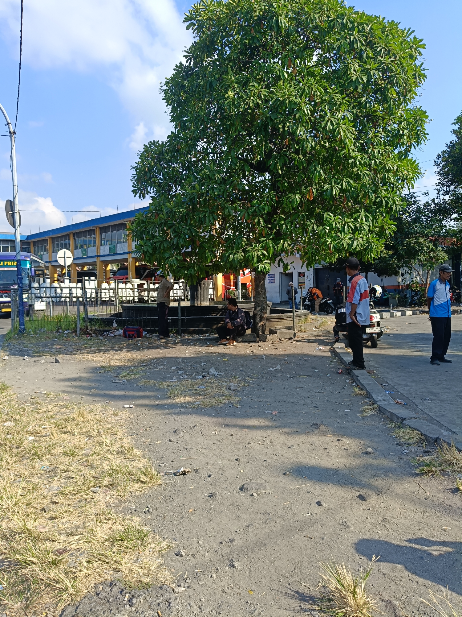 The image depicts a street scene in Kedungrejo, Indonesia, characterized by a bright, sunny day with a clear blue sky. In the foreground, a dry, dusty ground is sparsely covered with dry grass and scattered debris. A large, leafy tree dominates the mid-ground, casting shadows on the ground. Several individuals are present.
To the left, a bus with "DALI PRIZ" visible on its side is parked. A fence separates the street from a building in the background. This building has a blue roof and yellow accents, with visible windows.
In the mid-ground, near the tree, three men are gathered. One man, wearing a light-colored shirt with orange and blue accents and a baseball cap, stands facing away from the camera. Another man, wearing dark clothing, is seated. A third man, dressed in a light brown shirt and dark pants, stands with his back to the camera.
Further to the right, two more men are visible. One man, wearing a blue and white polo shirt and a baseball cap, stands facing the camera with his hands behind his back. Another man, wearing a blue shirt, stands to his right, also facing the camera.
A white scooter is parked behind the man in the blue and orange shirt, with a white helmet on its seat. The general environment appears to be a public area, possibly a bus station or a marketplace, given the presence of the bus and the building. The area is somewhat unkempt, with visible litter on the ground.