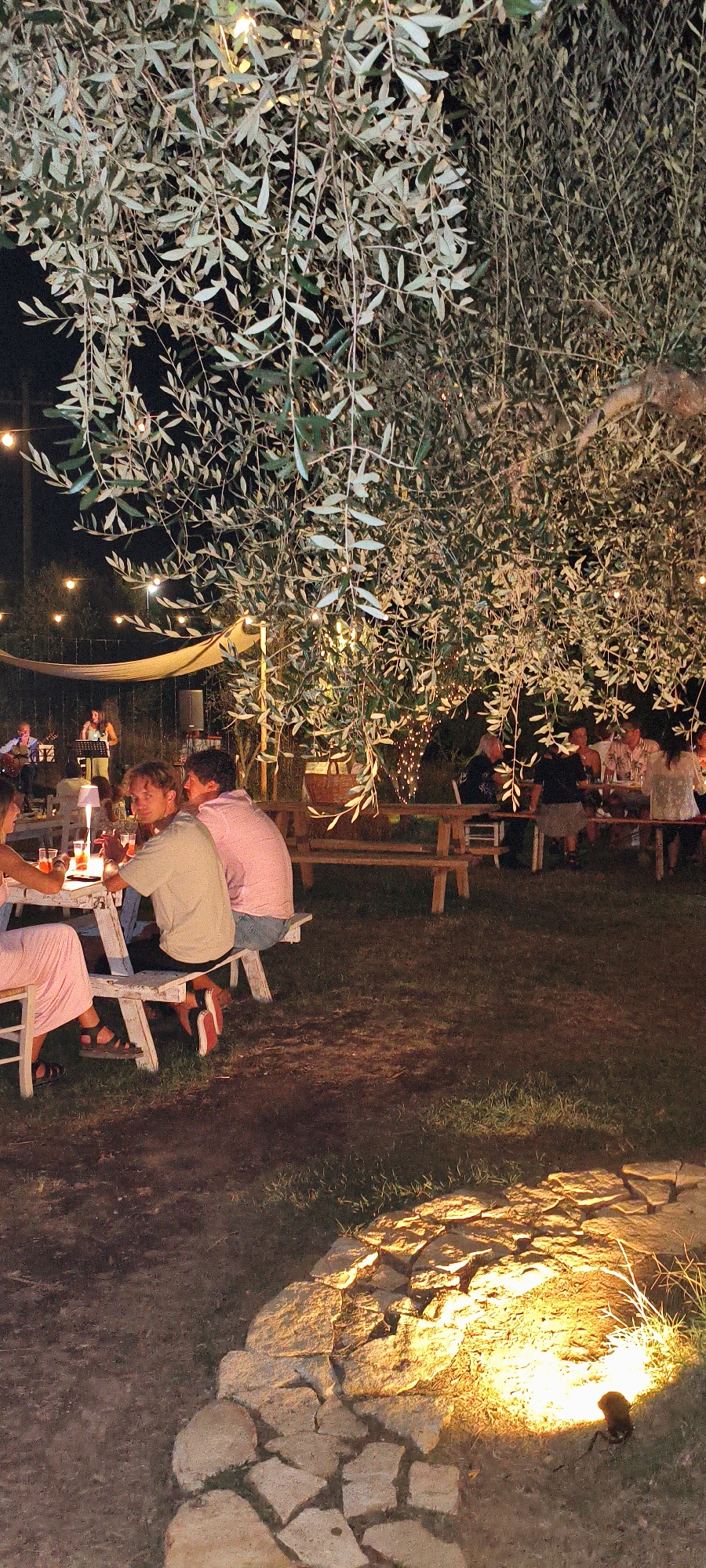 This is a vertical, eye-level, full shot of an outdoor gathering at night, beneath the branches of a large olive tree adorned with string lights. In the foreground, three people are seated at a white picnic table, facing the camera. A woman in a pink dress is on the left, partially visible. Two men are seated next to her; one in a light green t-shirt and the other in a pink shirt. Red drinks are visible on the table. In the midground, another group of people is seated at wooden picnic tables, and further back, a band performs on a small stage, with a singer at a microphone and a guitarist. The scene is illuminated by ambient string lights and spotlights that highlight a stone path in the lower right corner of the frame. The setting appears to be a restaurant or event space in Buriano, Italy.