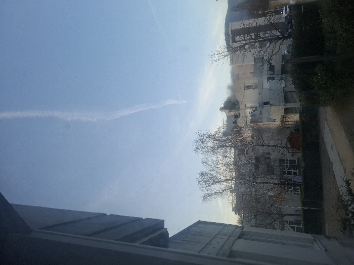 A daytime shot reveals a serene blue sky with a faint contrail stretching across it. Below, buildings, some partially obscured by bare trees, create an urban backdrop. Hints of greenery peek out from the edges, adding a touch of nature. The view is framed by a window or rooftop structure in the foreground, establishing an intimate, indoor perspective.