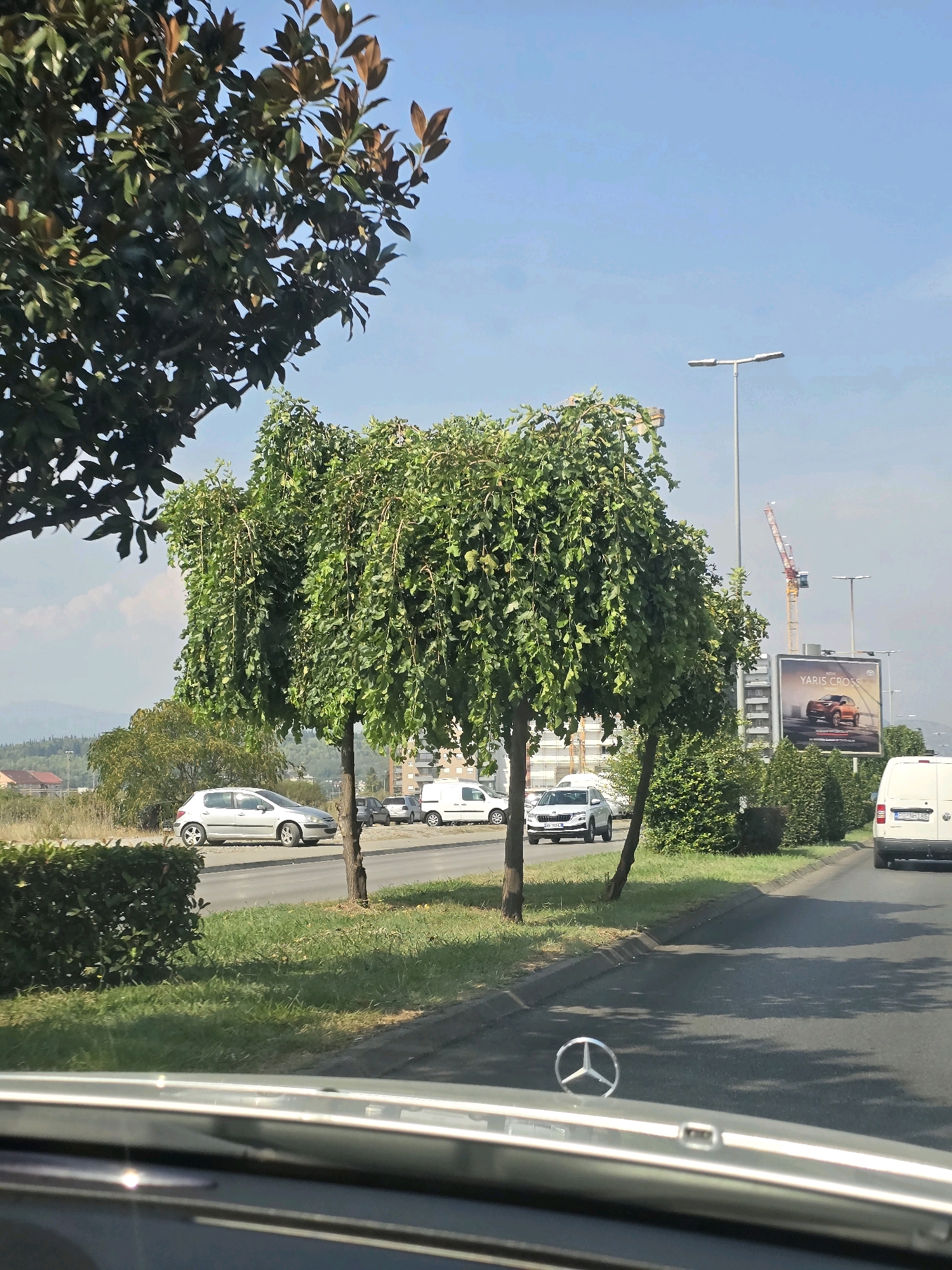 The image depicts a street scene in Podgorica, Montenegro, captured from the perspective of a vehicle's interior. In the foreground, the dashboard and hood ornament of a Mercedes-Benz are visible. The street runs alongside a grassy median with several trees, two of which are distinctly shaped with drooping foliage. Beyond the median, there is a multi-lane road with several cars, including a silver hatchback, a white SUV, and a white van. Traffic lights, street lamps, and a construction crane are visible in the background, along with a billboard advertising the Toyota Yaris Cross. Residential buildings and distant hills complete the urban and natural landscape. The sky is clear and blue, suggesting a sunny day.