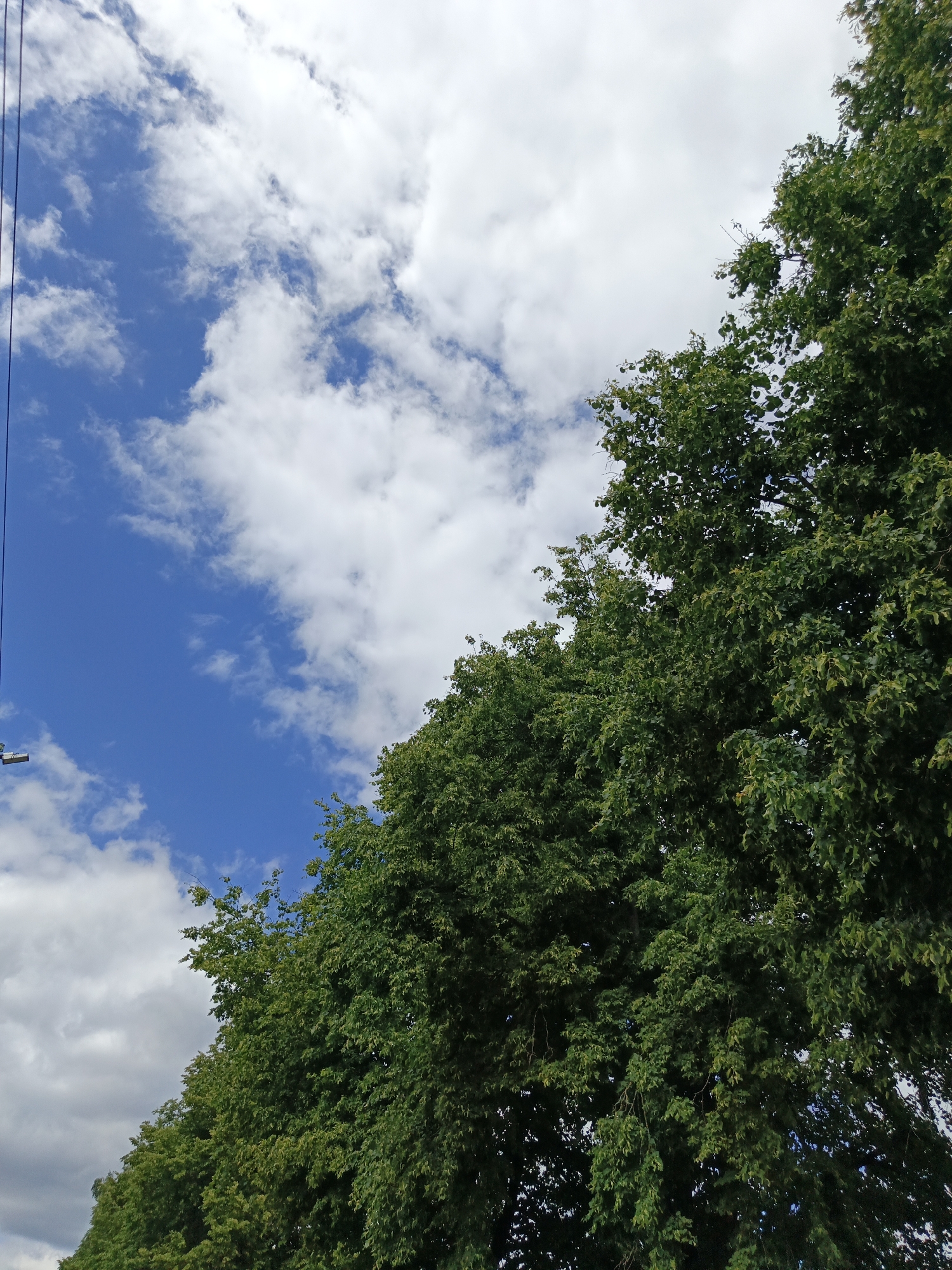 The image shows a view of the sky and trees. The sky is blue with white, fluffy clouds. On the right side of the image, a large, dense tree with green leaves takes up most of the frame. The lower part of the image also shows more green trees, suggesting a line of trees. A thin black line, possibly a power line, runs vertically on the left side of the image, with a small white object hanging from it. The scene appears to be set outdoors during the daytime, with fair weather indicated by the bright sky and clouds. The location is identified as Парэчча, Belarus. No people or specific activities are depicted, and there is no visible text in the image.