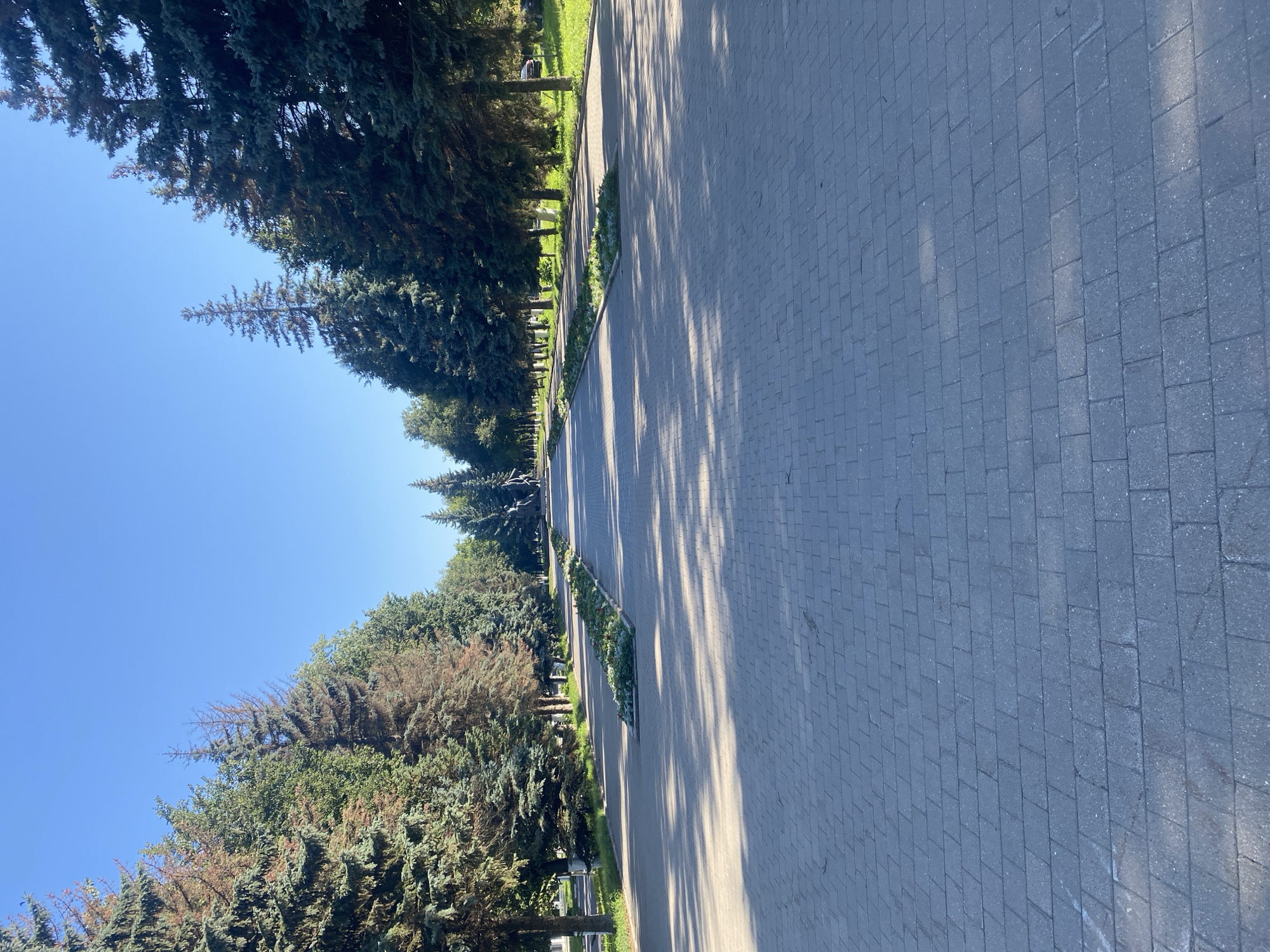 The image depicts a wide, paved walkway lined with mature evergreen trees on both sides under a clear blue sky. The walkway is constructed of grey rectangular pavers, with a central median strip featuring flower beds. In the distance, at the end of the walkway, a large monument or sculpture is visible, partially obscured by trees. The overall scene suggests a park or public square. This location is likely the Eternal Flame memorial complex in Novomoskovsk, Russia, a common site for such monuments and park-like settings. The lighting indicates it is daytime, with shadows cast across the walkway.