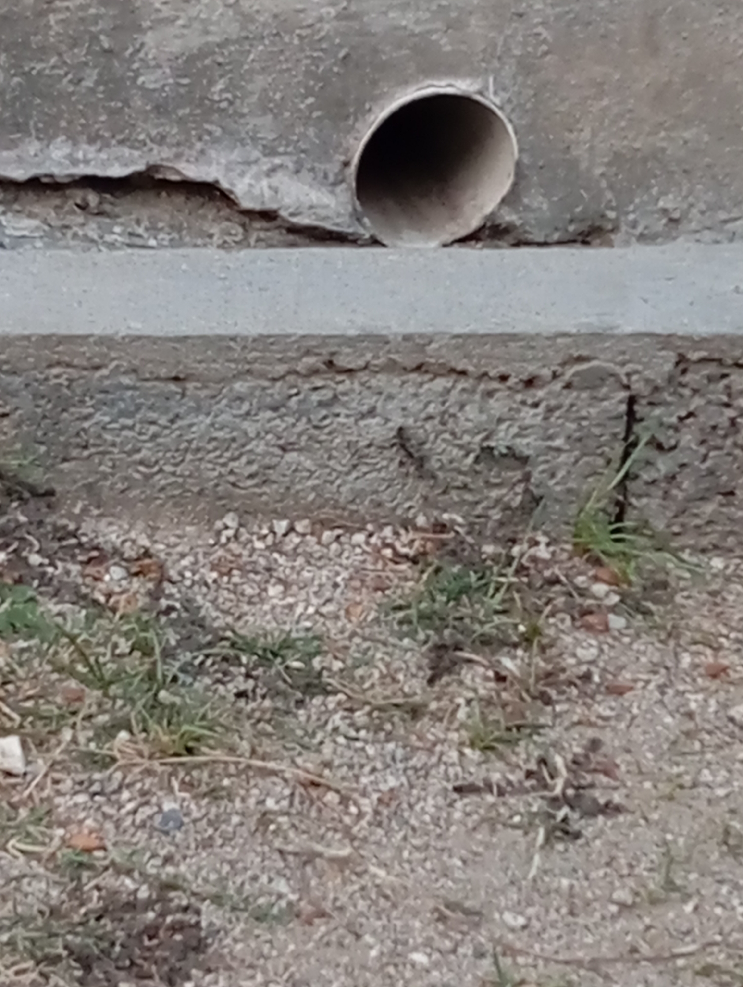 The image shows a close-up view of a concrete structure with a drainpipe opening. The concrete appears weathered and cracked, with some debris and small plants growing around its base. The drainpipe is a circular opening leading into the concrete structure. The ground in front of the structure is covered with small stones and dirt, with patches of grass. The lighting suggests it is daytime.